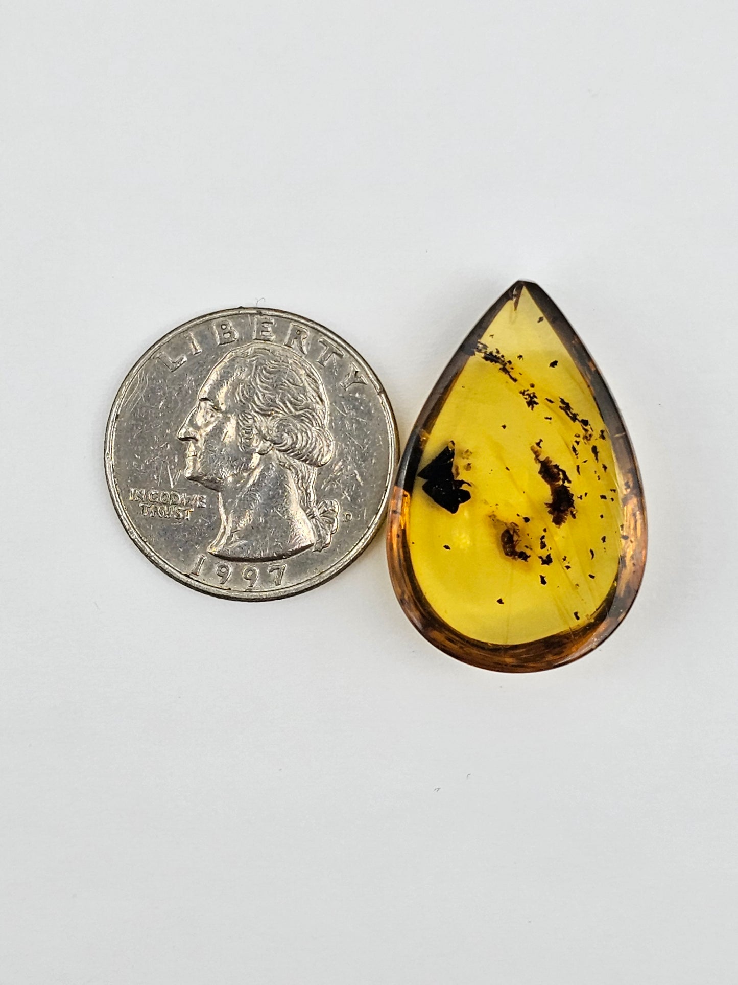 Amber Authentic Cabochon with Bug Inclusion