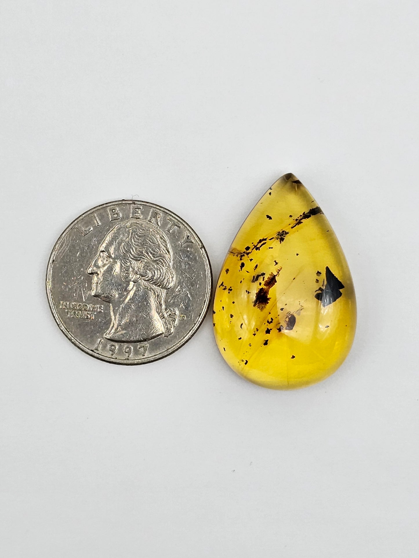 Amber Authentic Cabochon with Bug Inclusion
