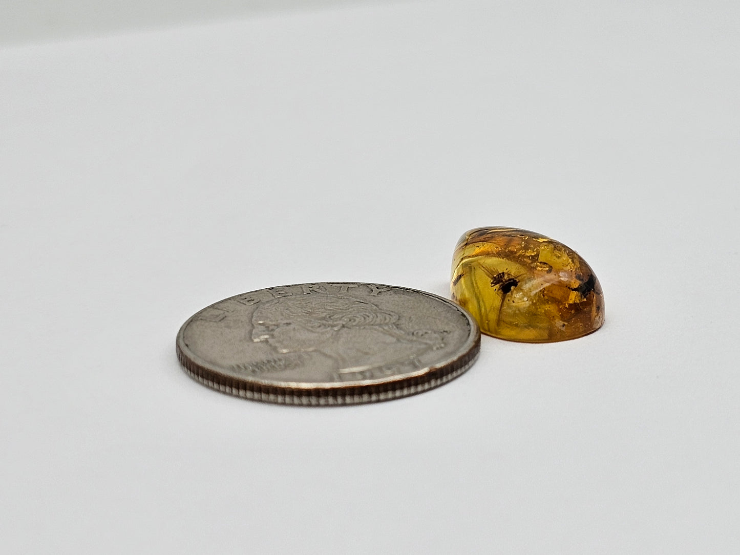 Amber Authentic Cabochon with Bug Inclusion