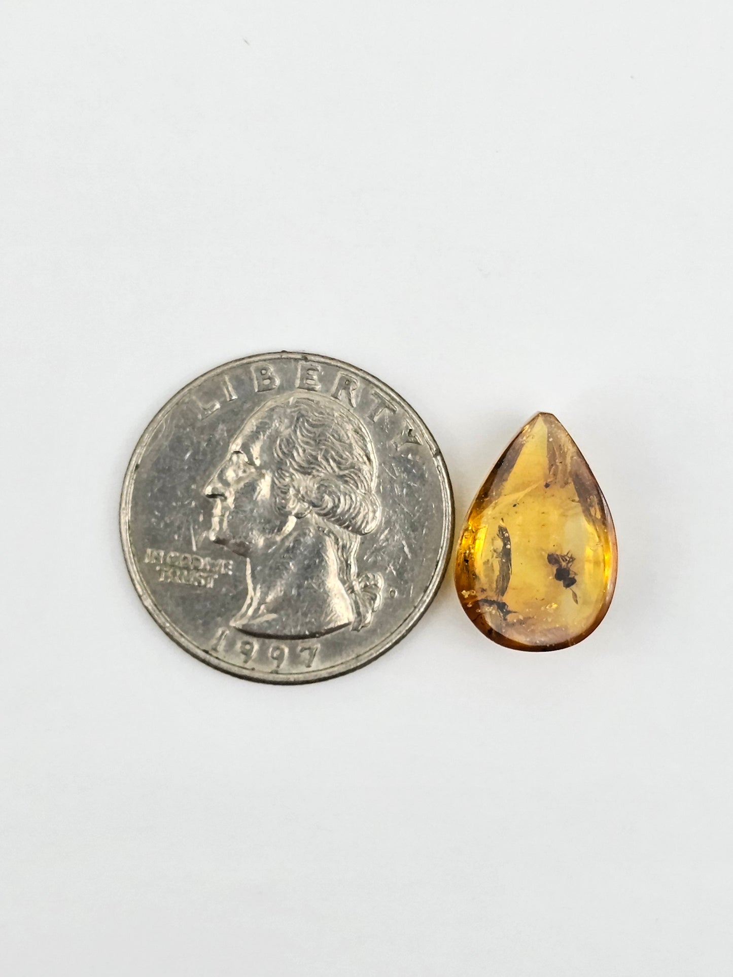 Amber Authentic Cabochon with Bug Inclusion