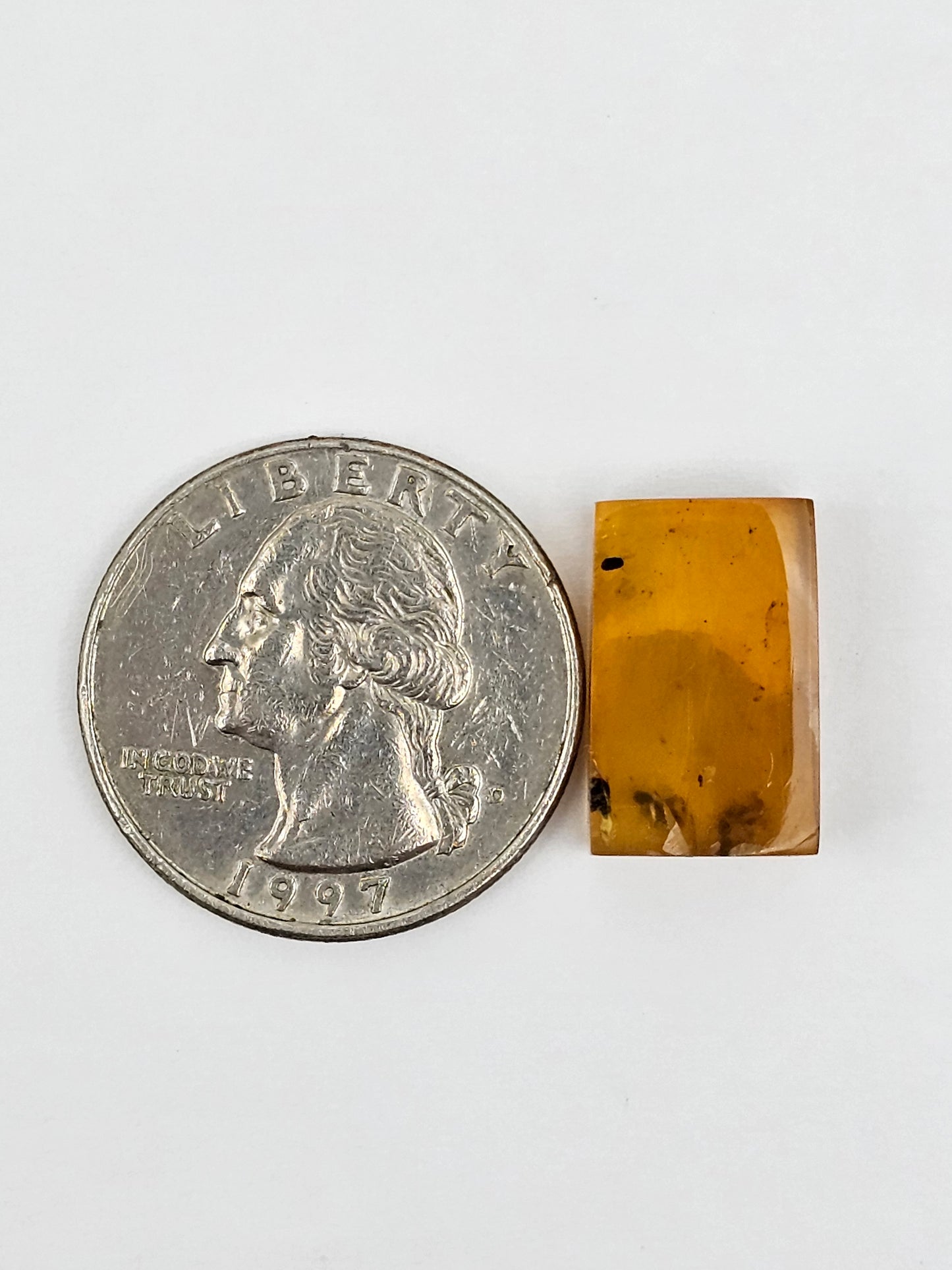 Amber Authentic Cabochon with Bug Inclusion