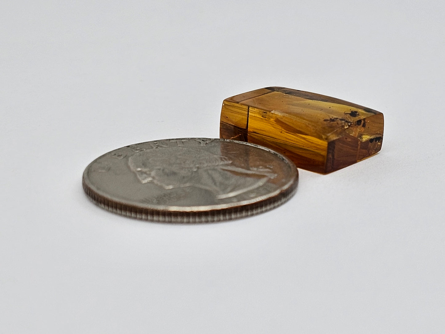 Amber Authentic Cabochon with Bug Inclusion