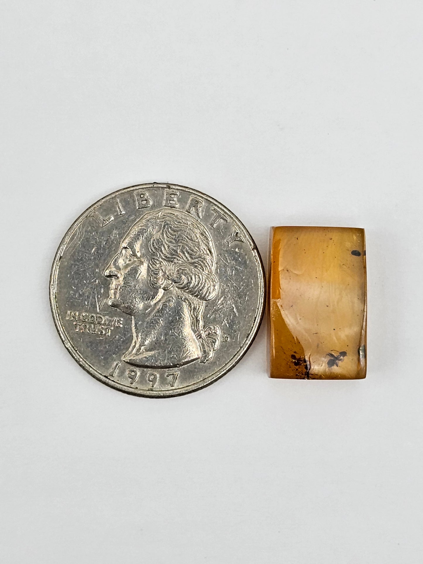 Amber Authentic Cabochon with Bug Inclusion