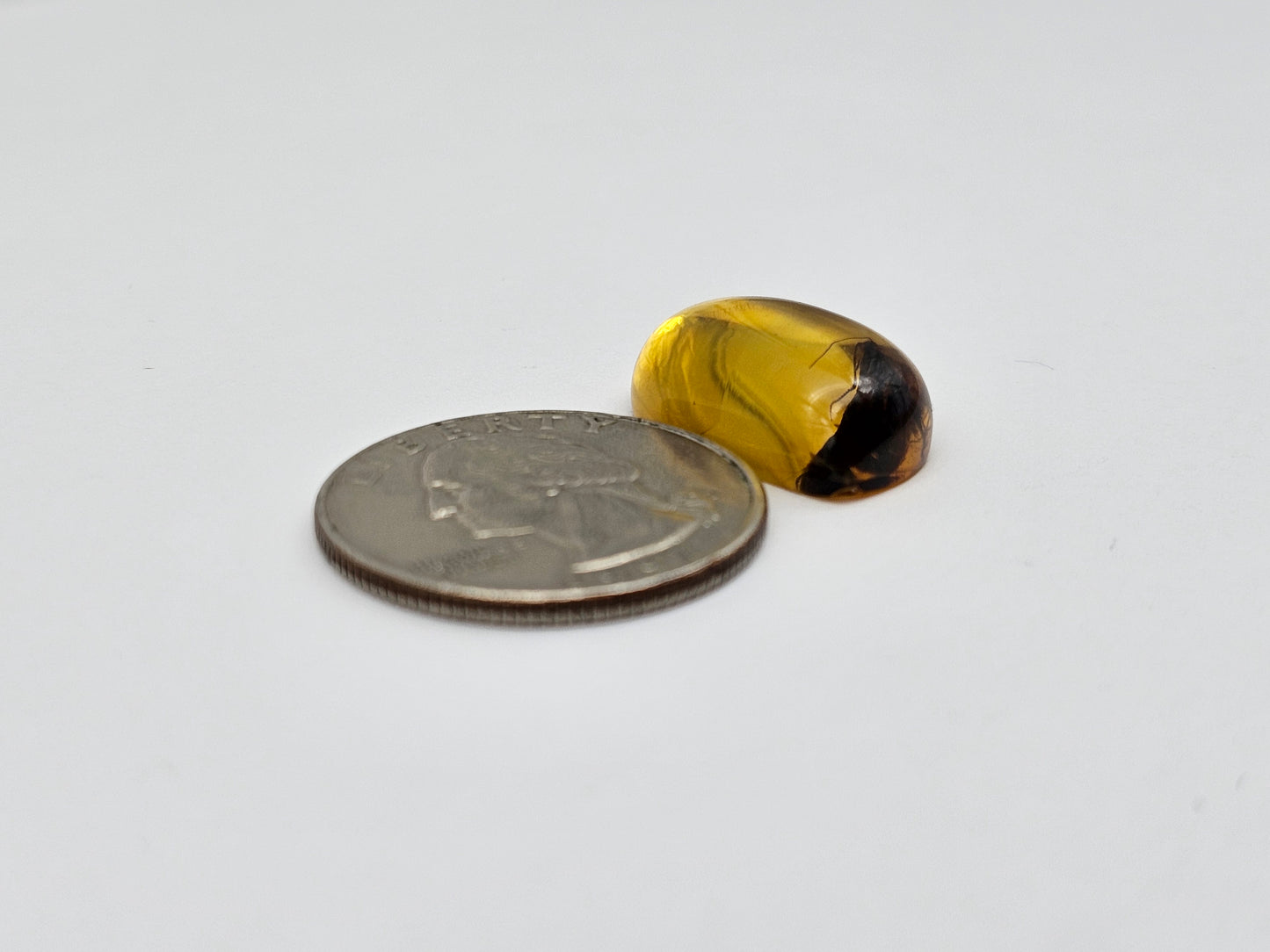 Amber Authentic Cabochon with Bug Inclusion