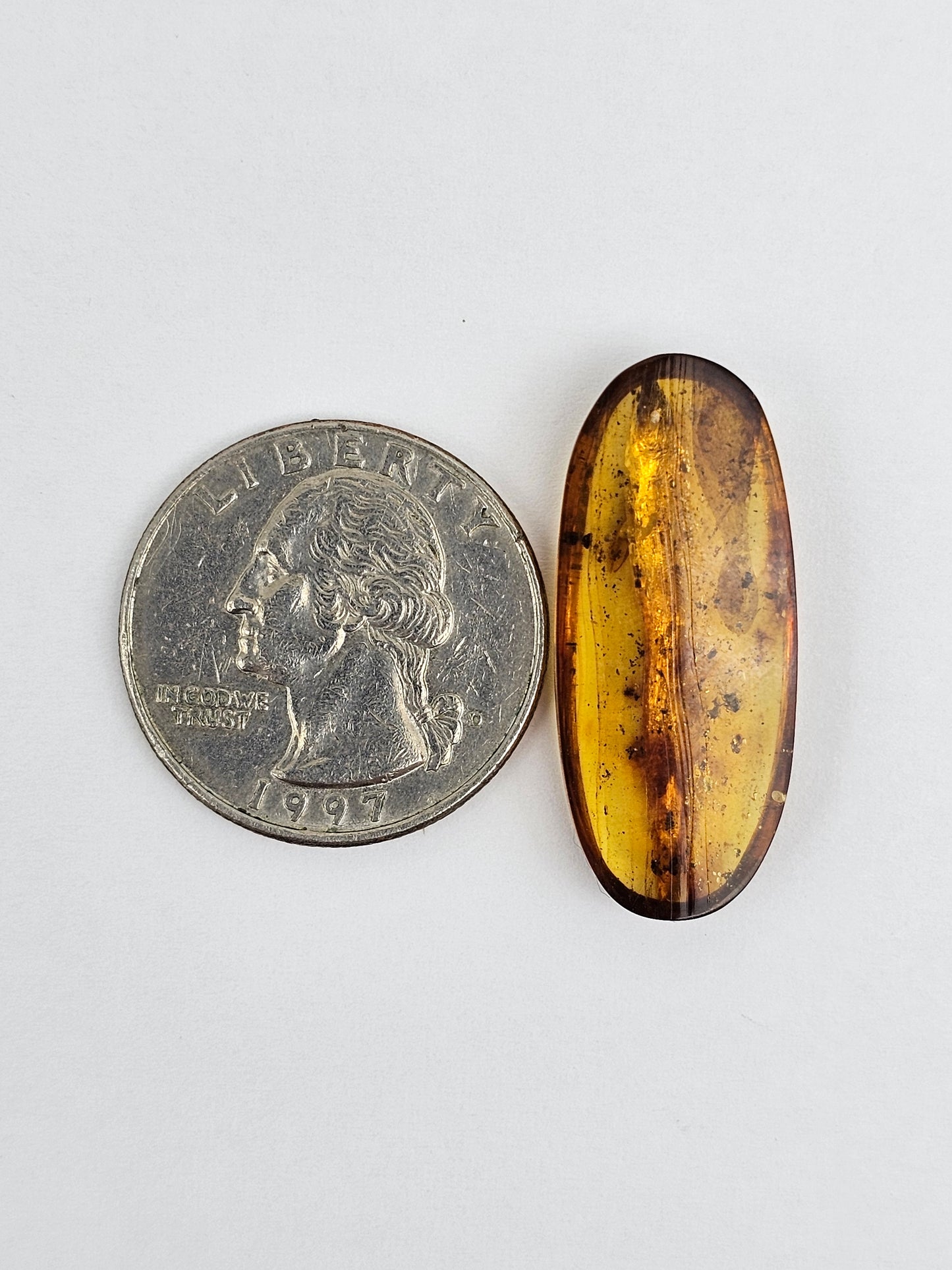 Amber Authentic Cabochon with Bug Inclusion