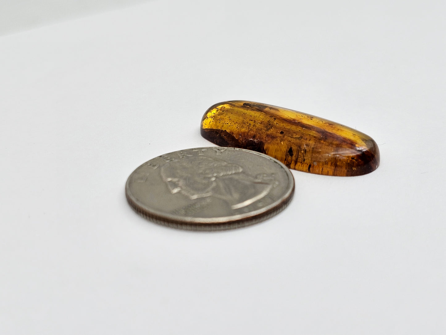 Amber Authentic Cabochon with Bug Inclusion