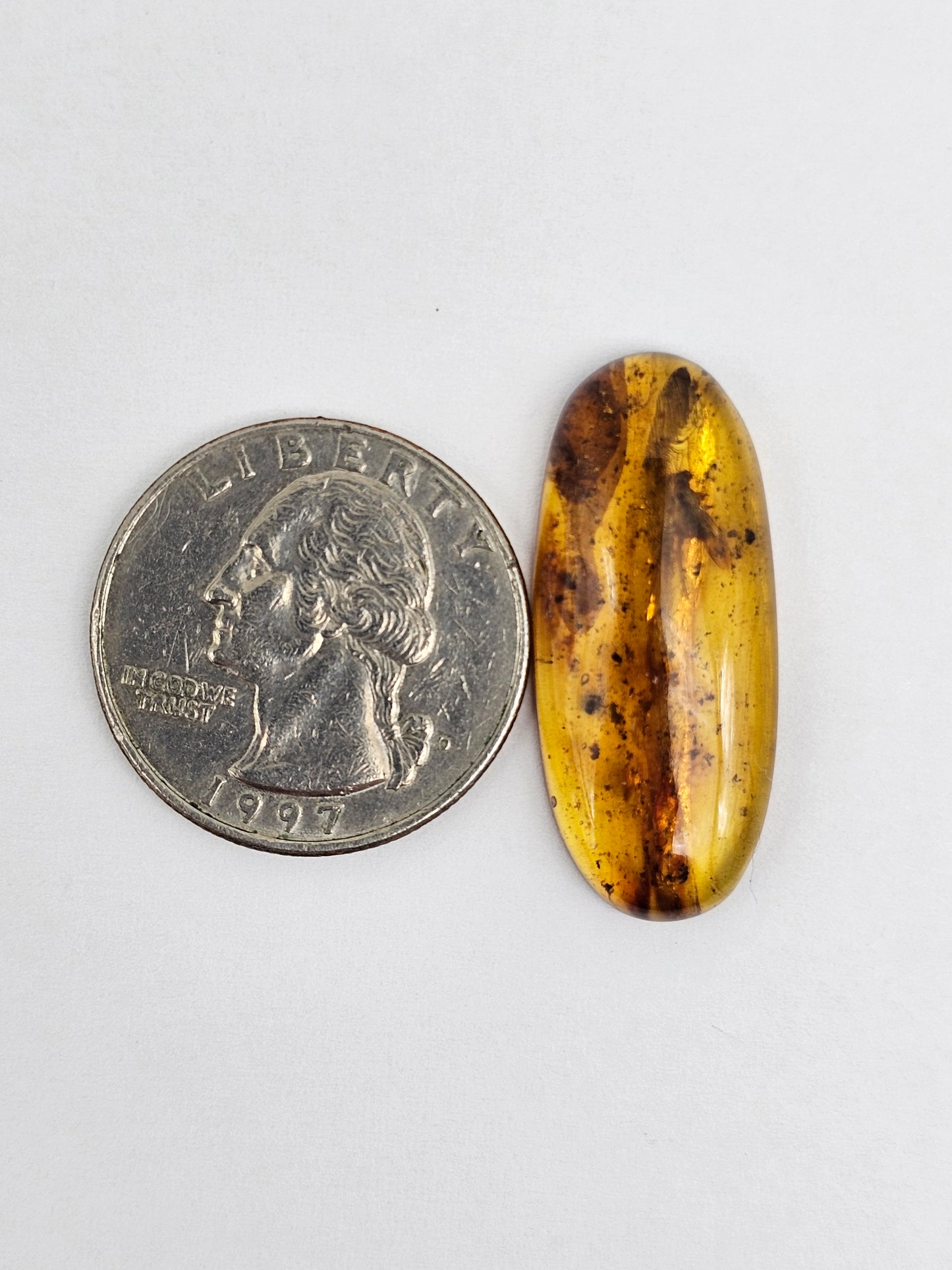 Amber Authentic Cabochon with Bug Inclusion