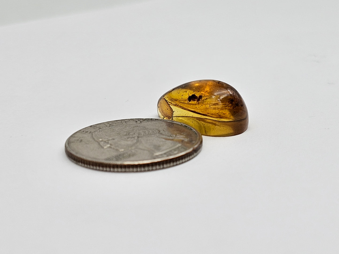 Amber Authentic Cabochon with Bug Inclusion