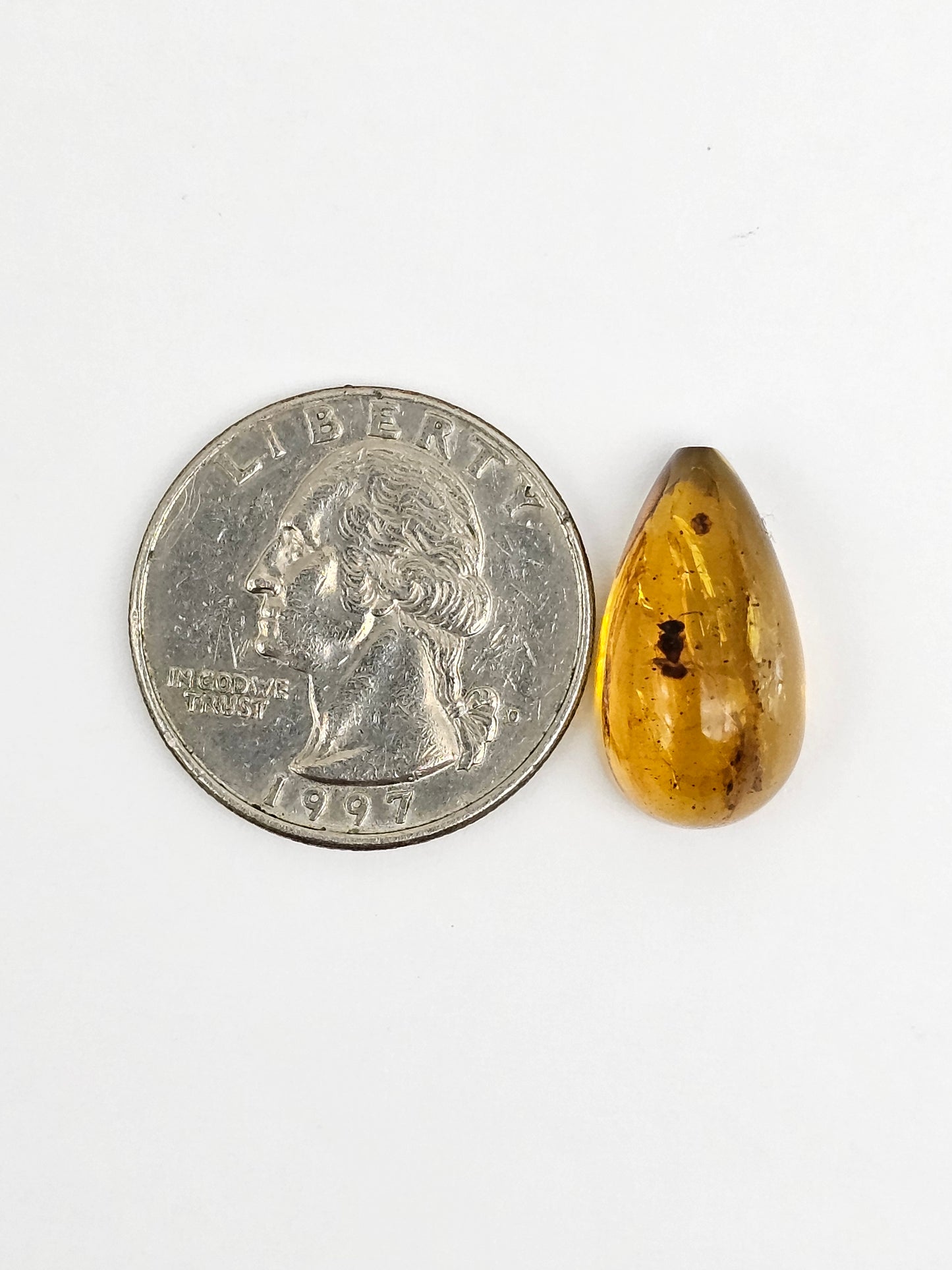 Amber Authentic Cabochon with Bug Inclusion