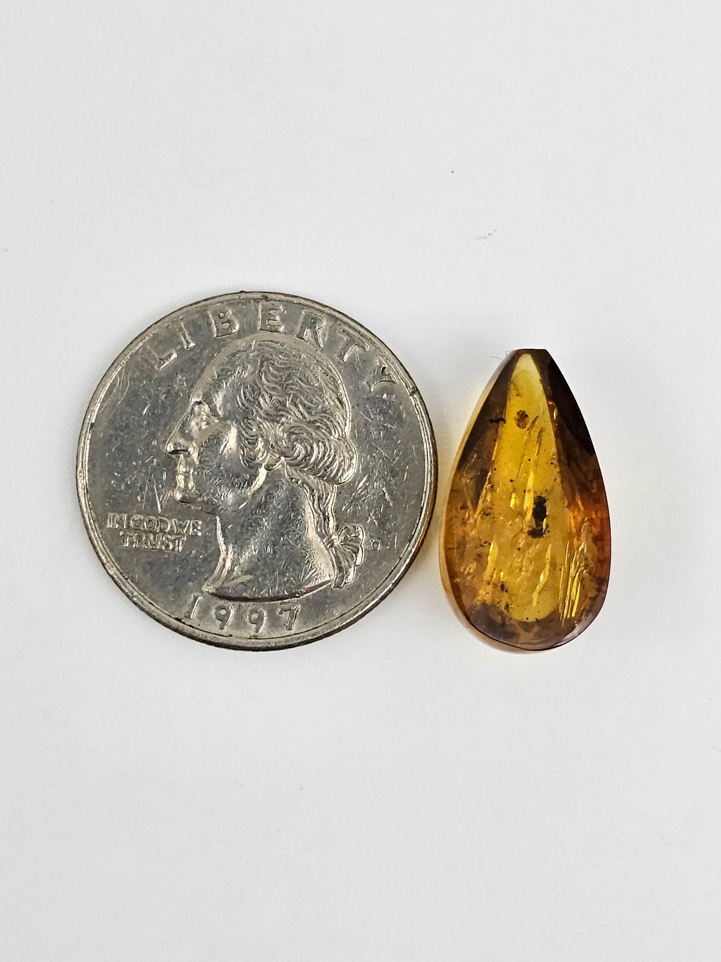 Amber Authentic Cabochon with Bug Inclusion