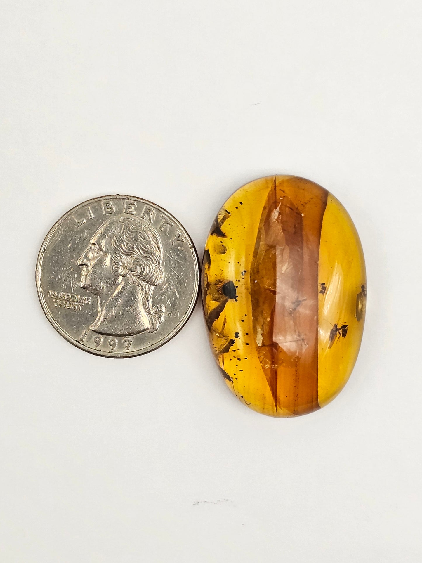 Amber Authentic Cabochon with Bug Inclusion