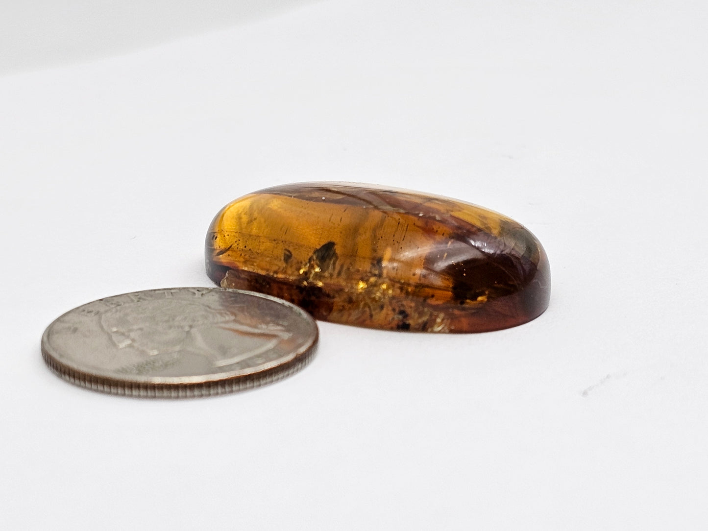 Amber Authentic Cabochon with Bug Inclusion