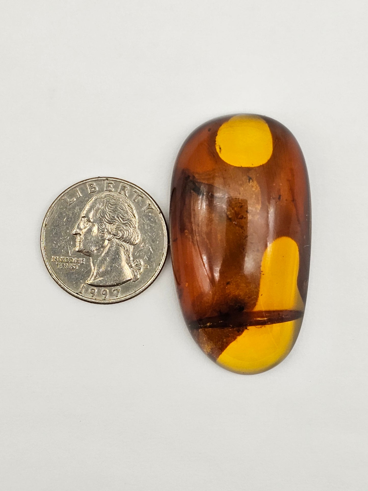 Amber Authentic Cabochon with Bug Inclusion