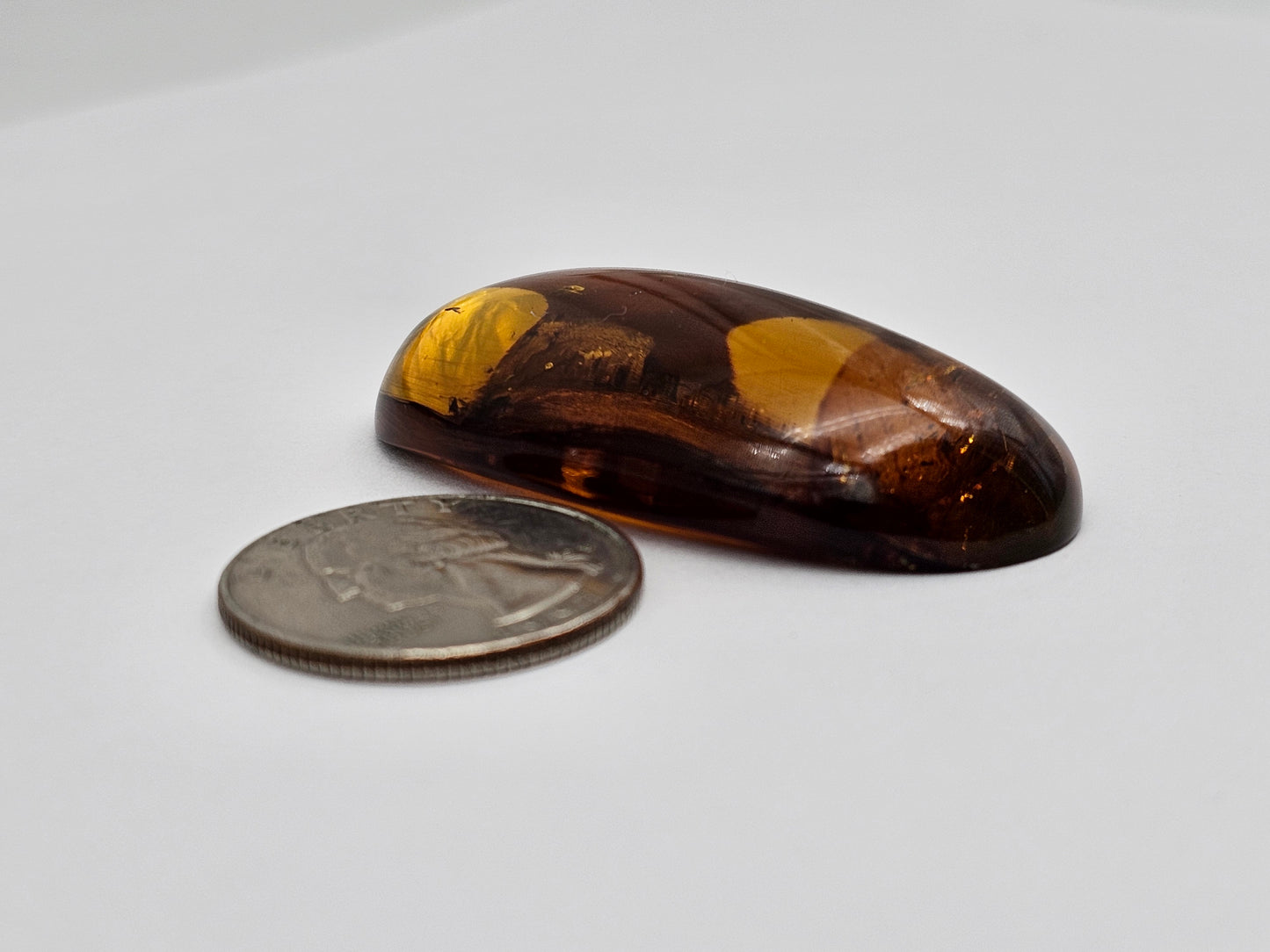 Amber Authentic Cabochon with Bug Inclusion