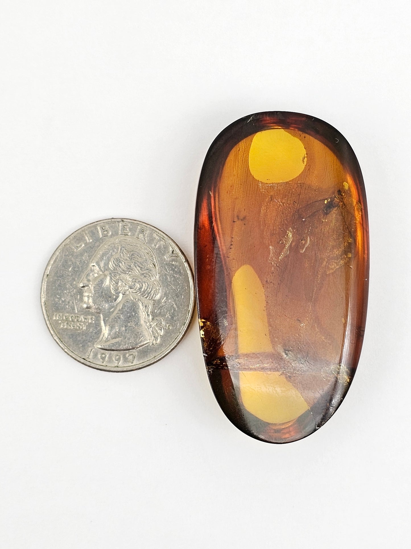 Amber Authentic Cabochon with Bug Inclusion