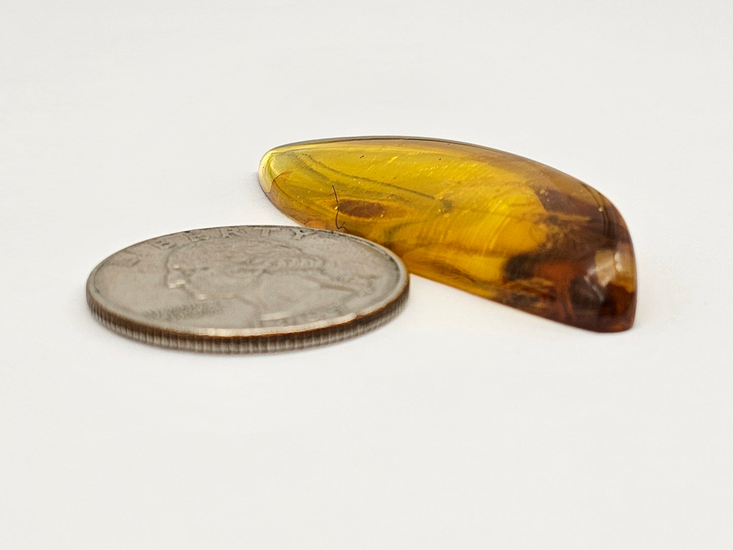 Amber Authentic Cabochon with Bug Inclusion