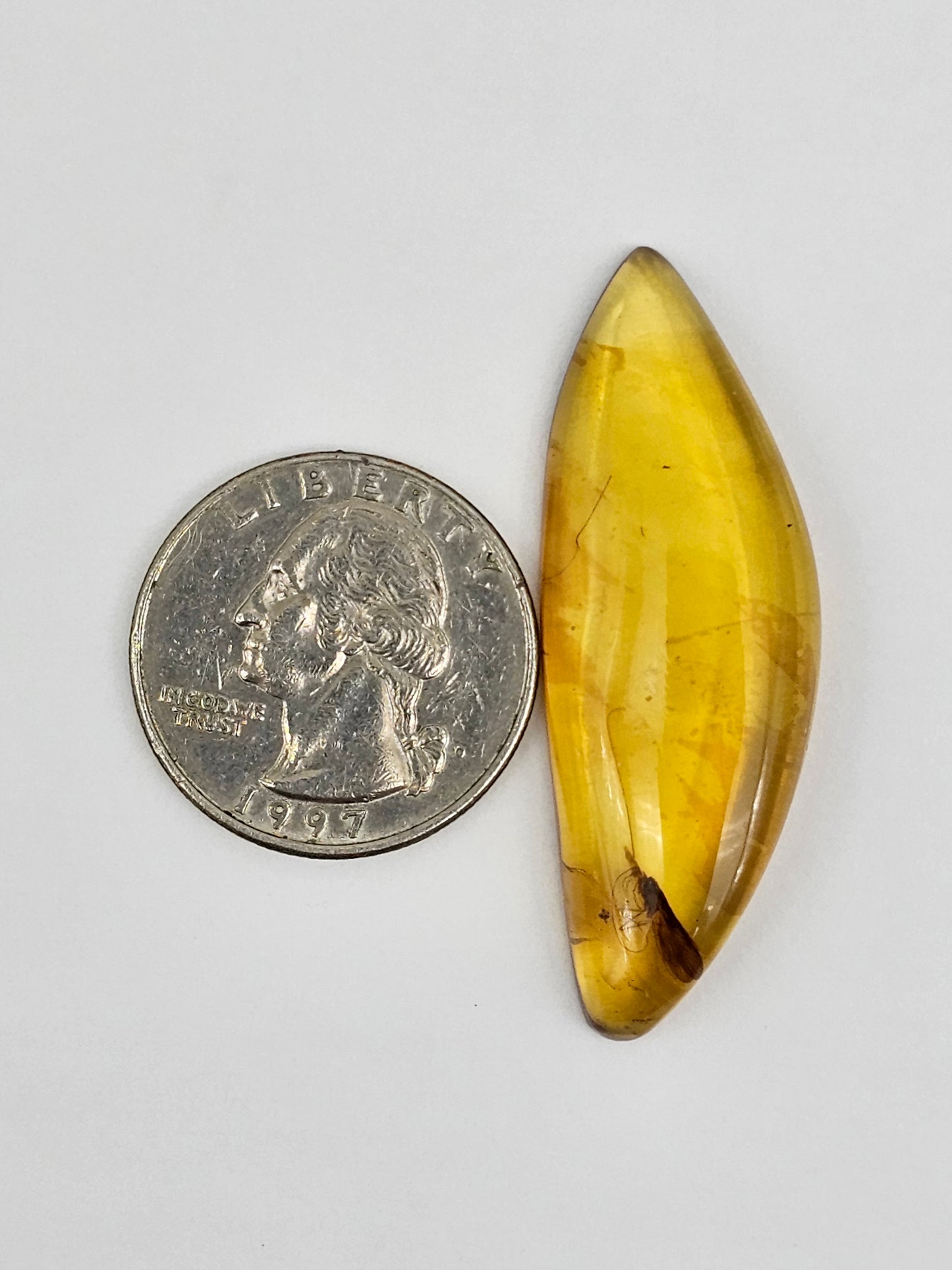 Amber Authentic Cabochon with Bug Inclusion