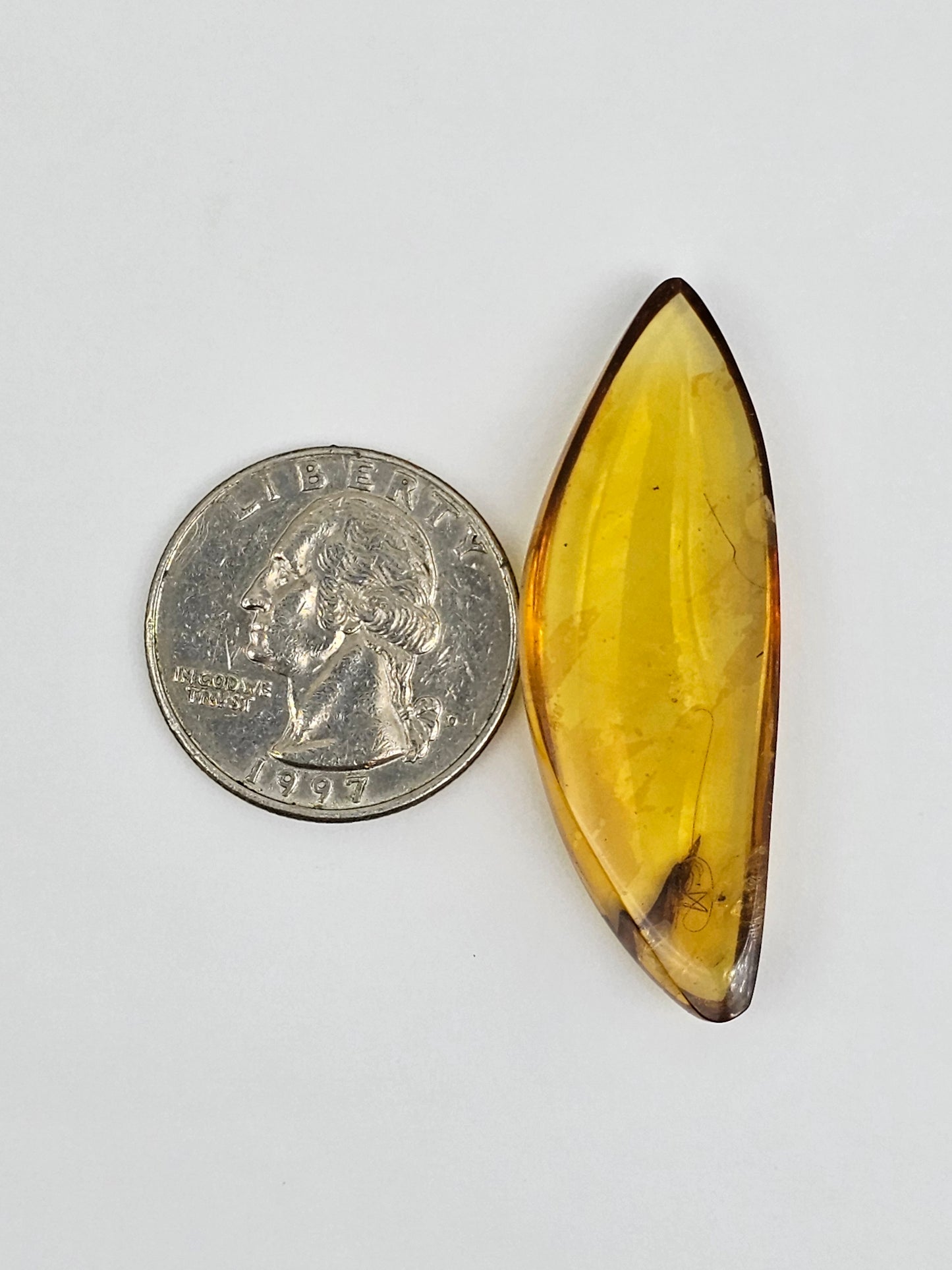 Amber Authentic Cabochon with Bug Inclusion