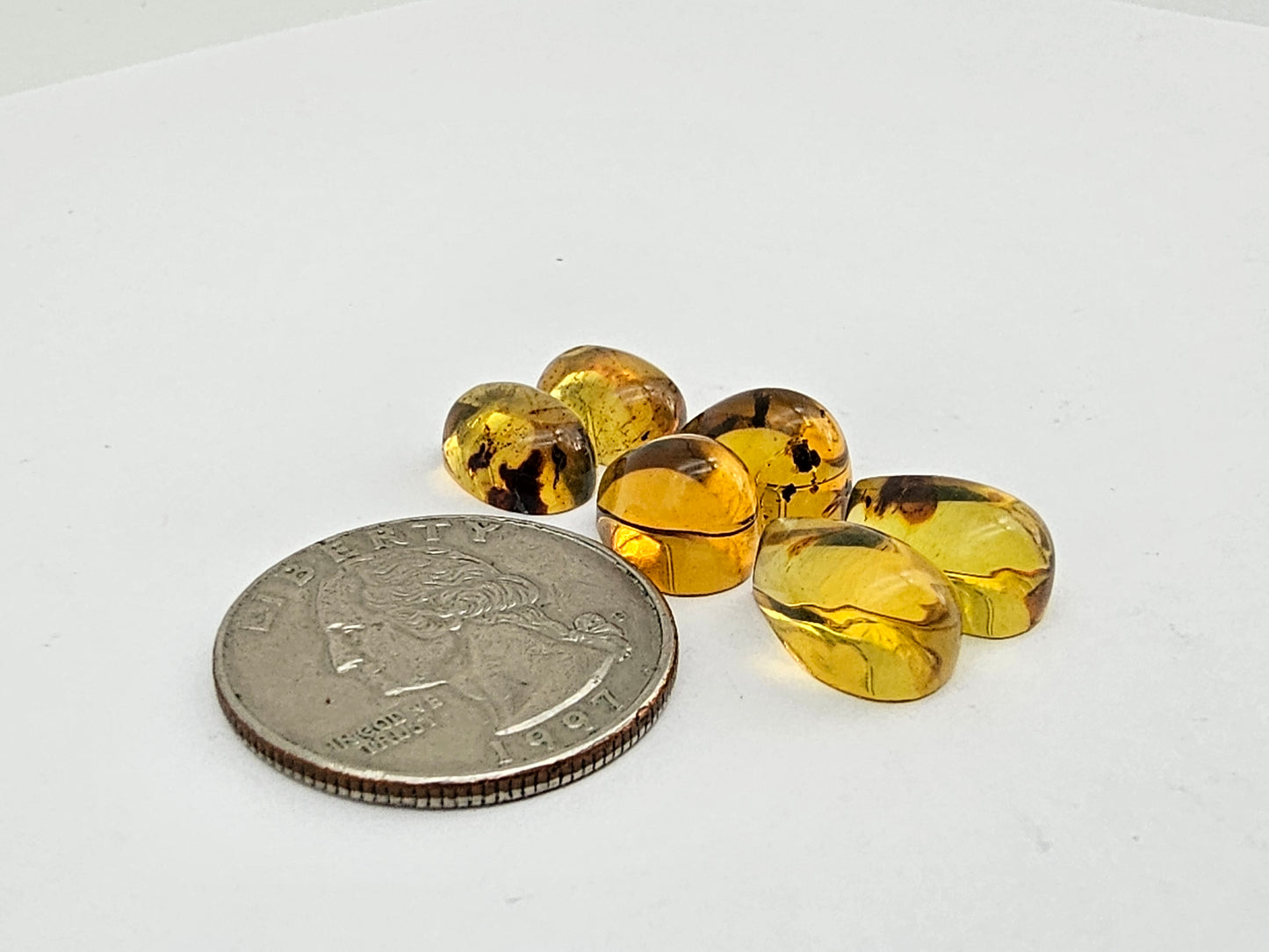 Amber authentic cabochon pair lot