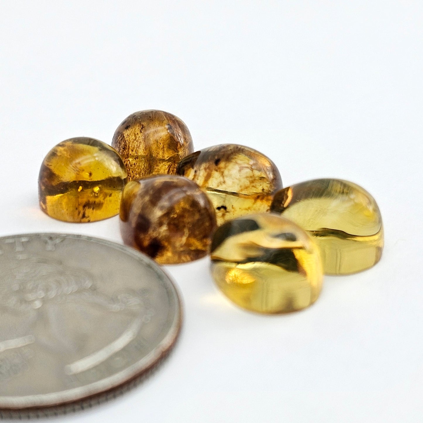 Amber authentic cabochon pair lot