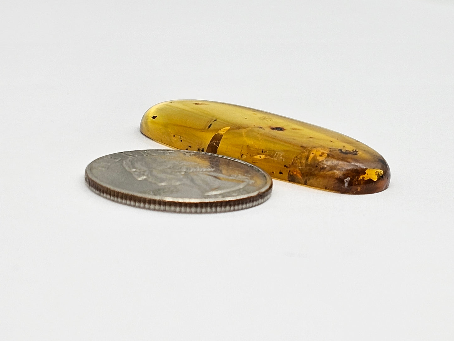 Amber Authentic Cabochon with Bug Inclusion