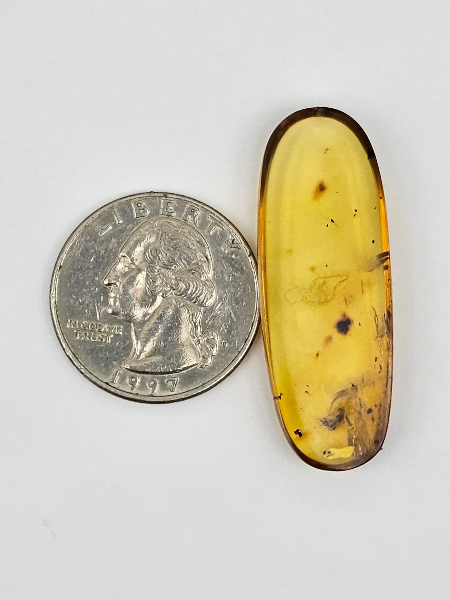 Amber Authentic Cabochon with Bug Inclusion