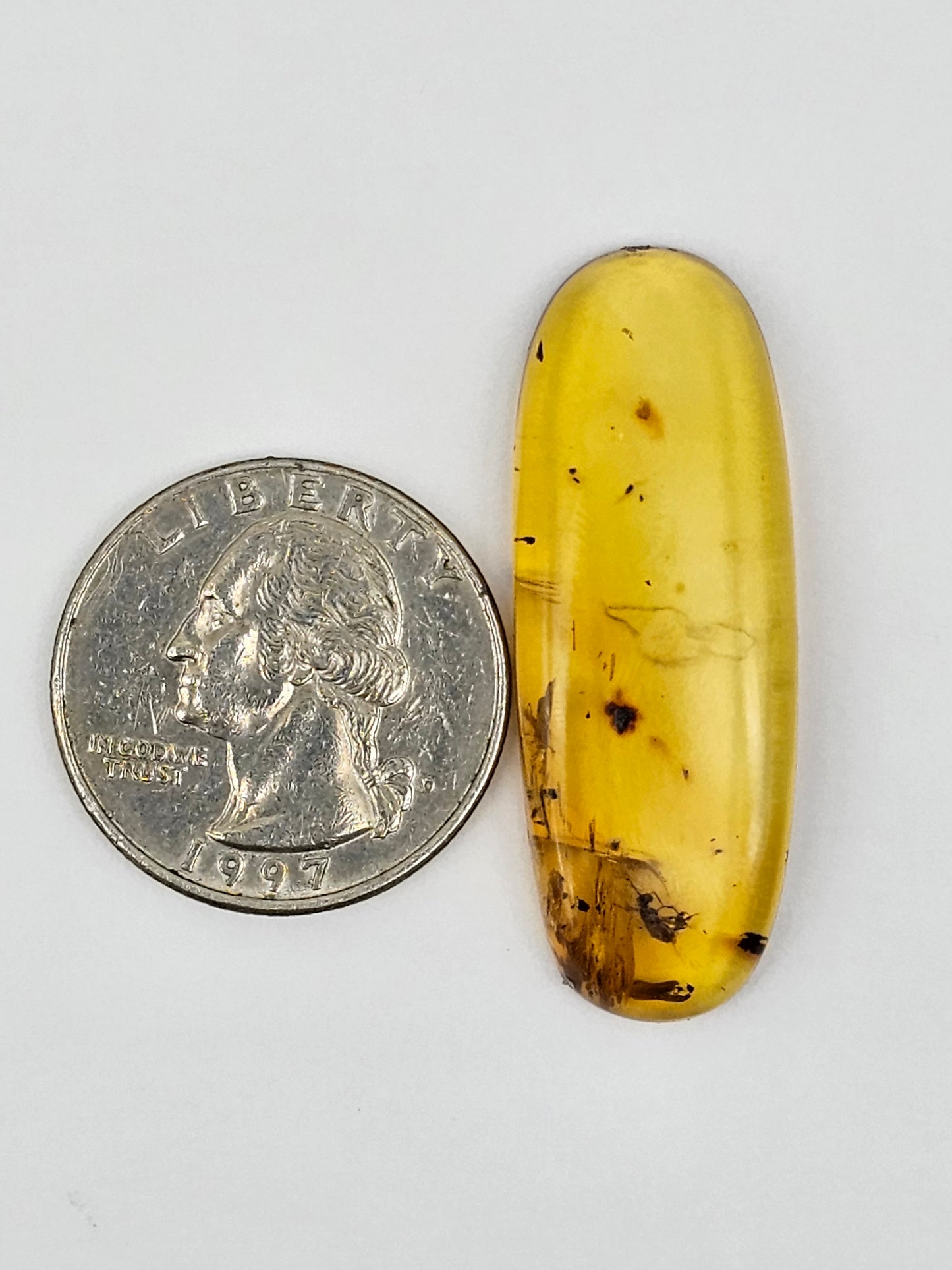 Amber Authentic Cabochon with Bug Inclusion
