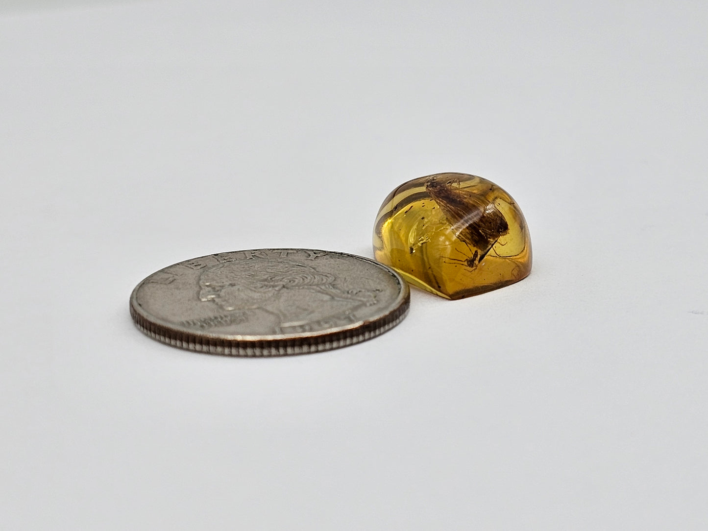 Amber Authentic Cabochon with Bug Inclusion