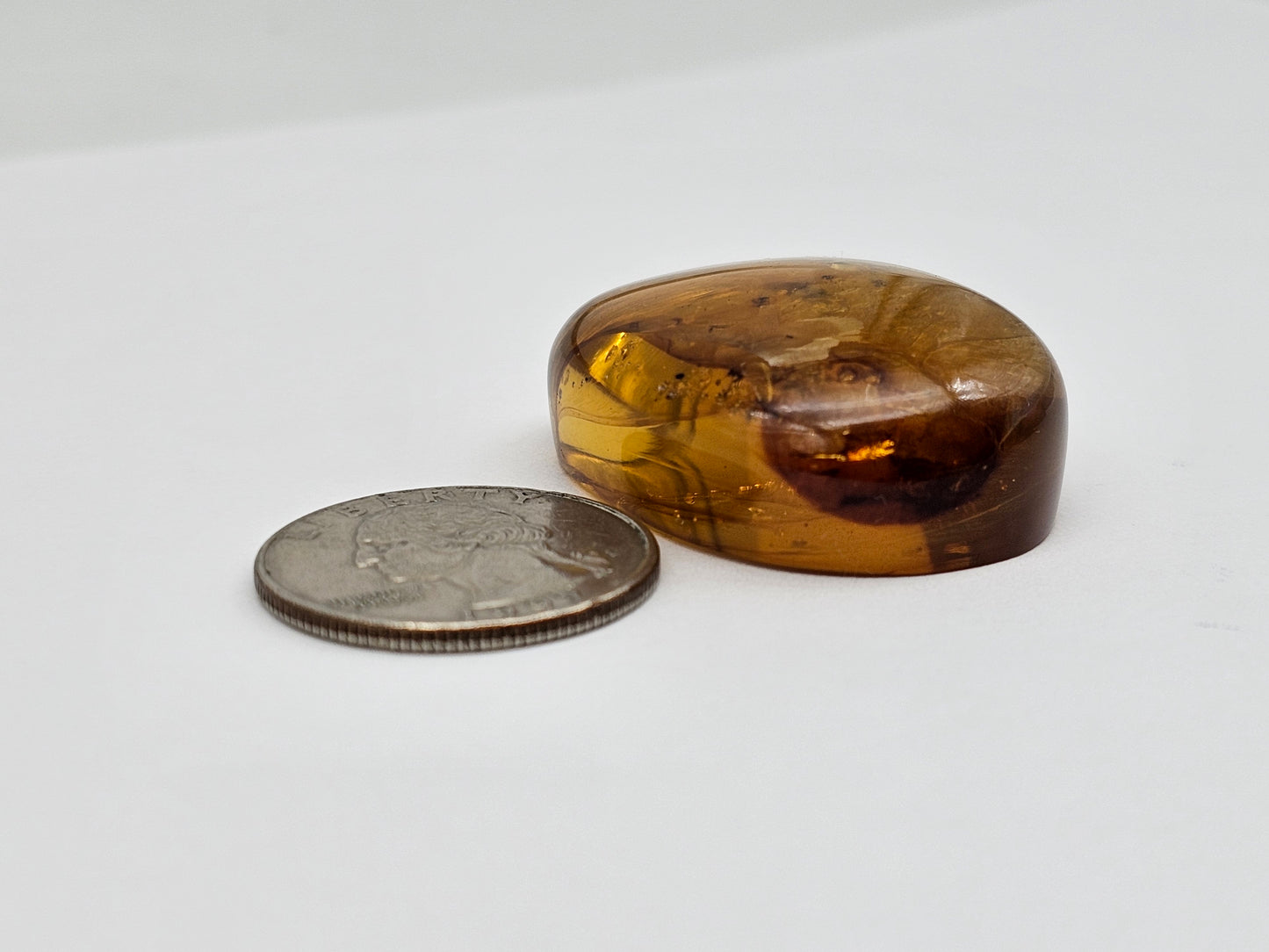 Real amber with insect inclusion