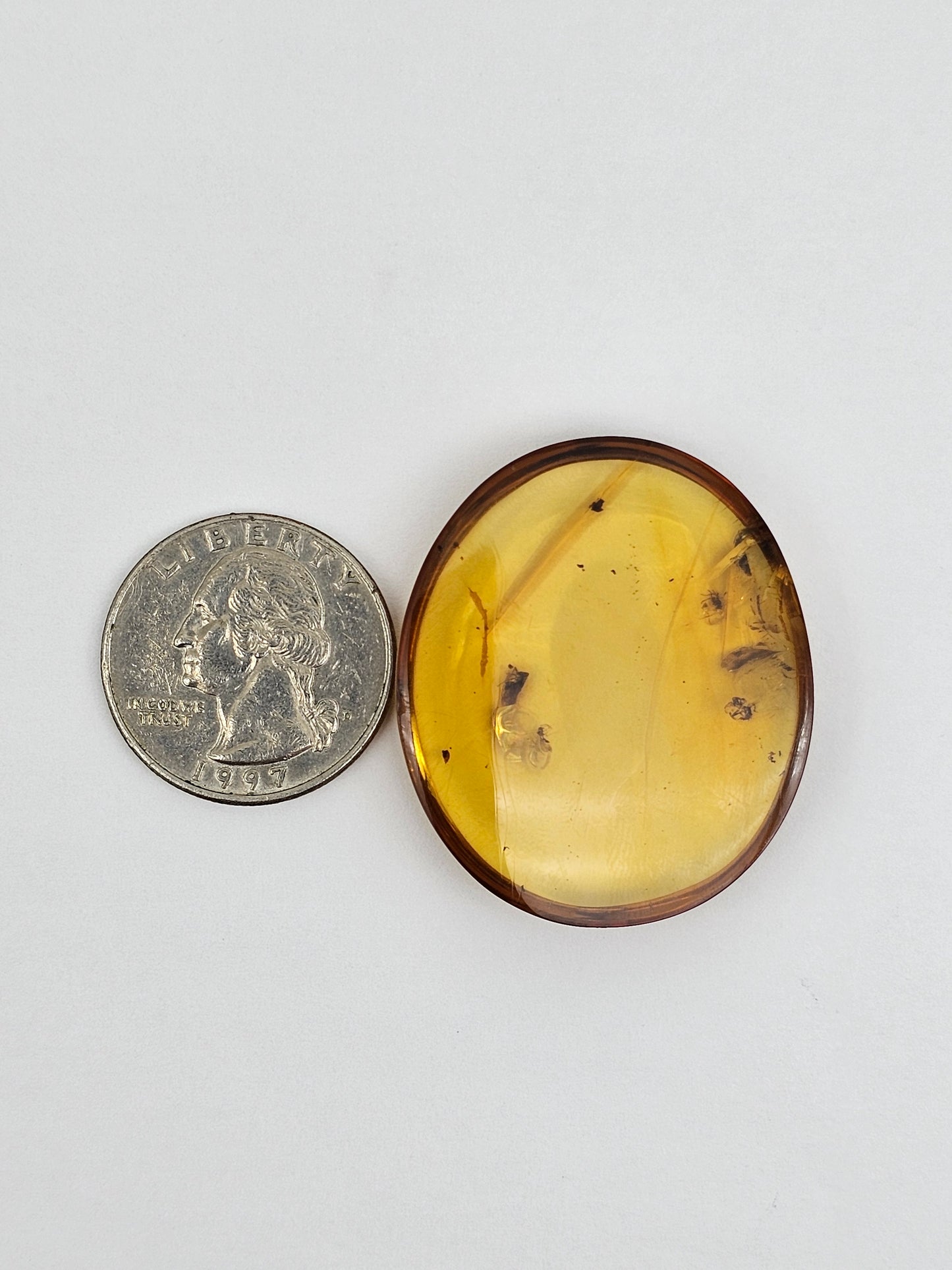 Amber Authentic Cabochon with Bug Inclusion