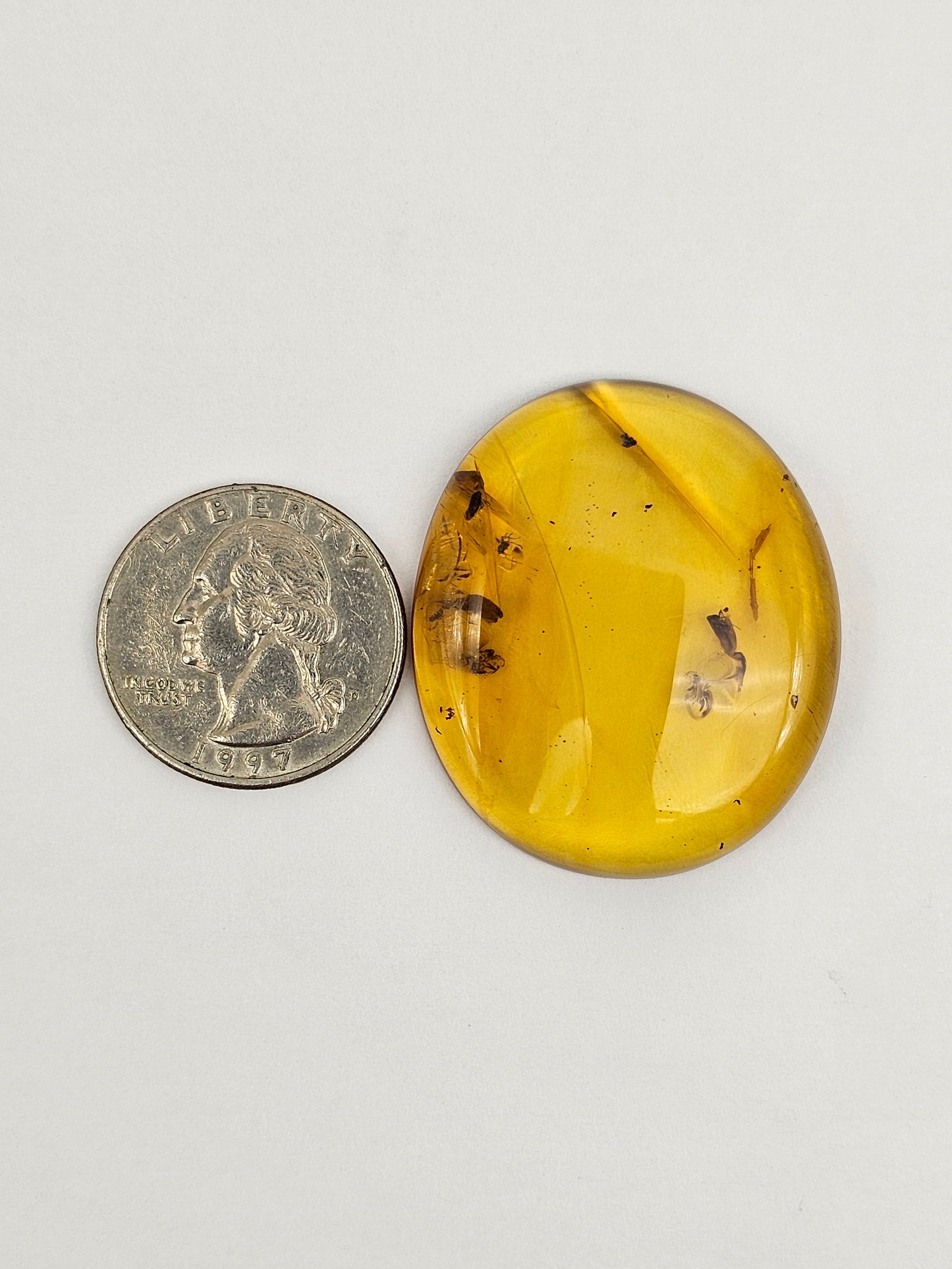 Amber Authentic Cabochon with Bug Inclusion