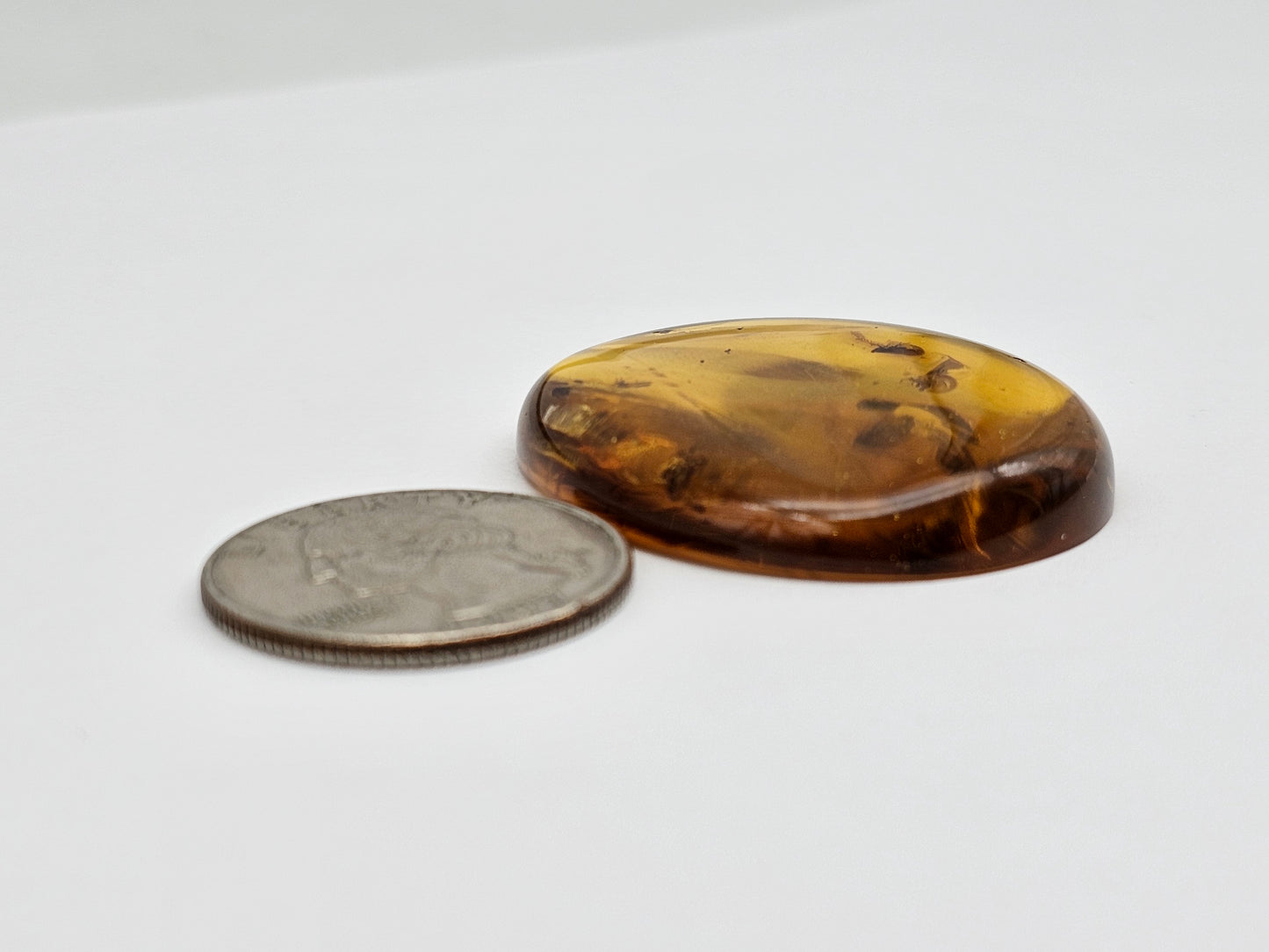 Amber Authentic Cabochon with Bug Inclusion