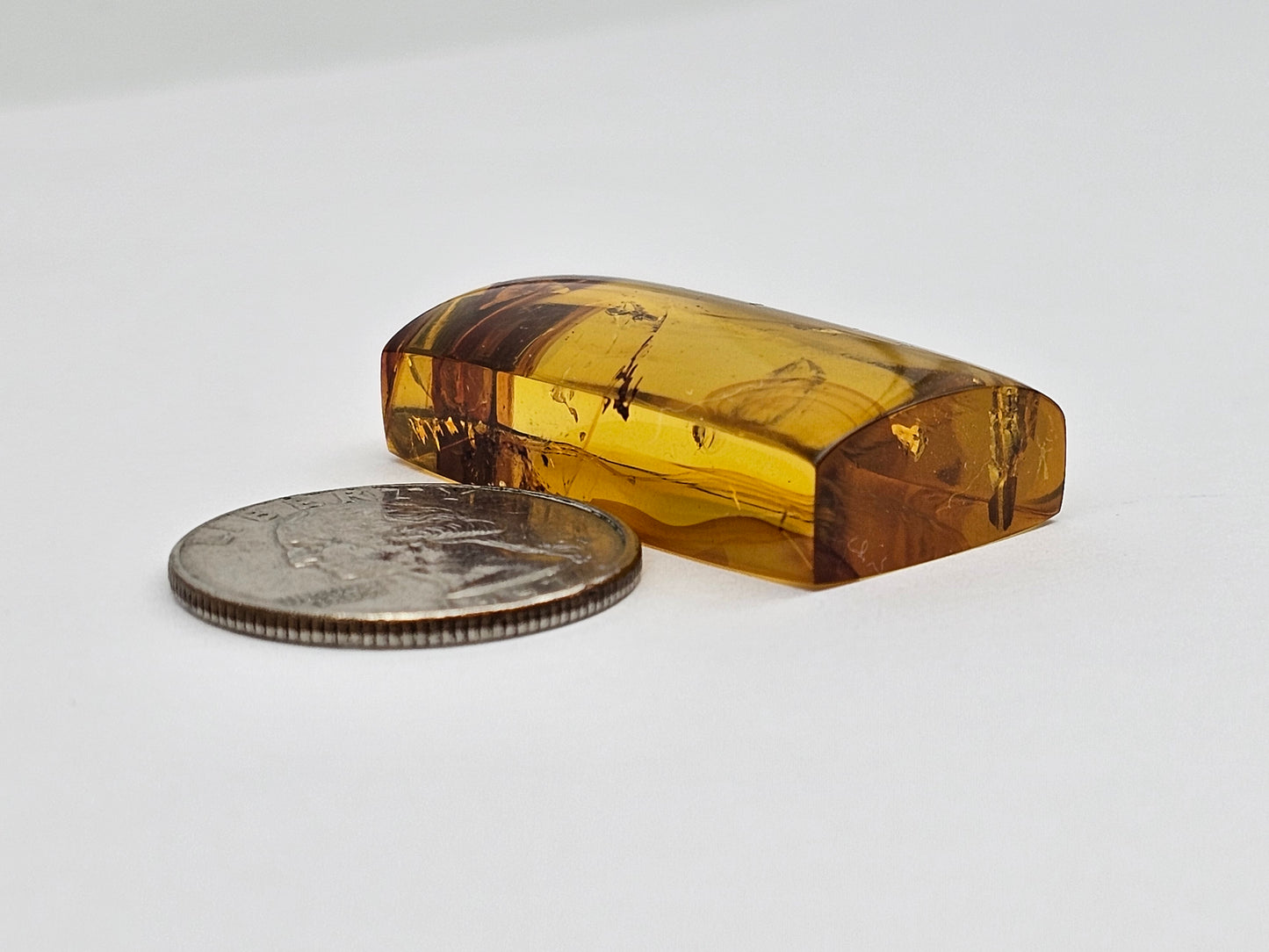 Amber Authentic Cabochon with Bug Inclusion