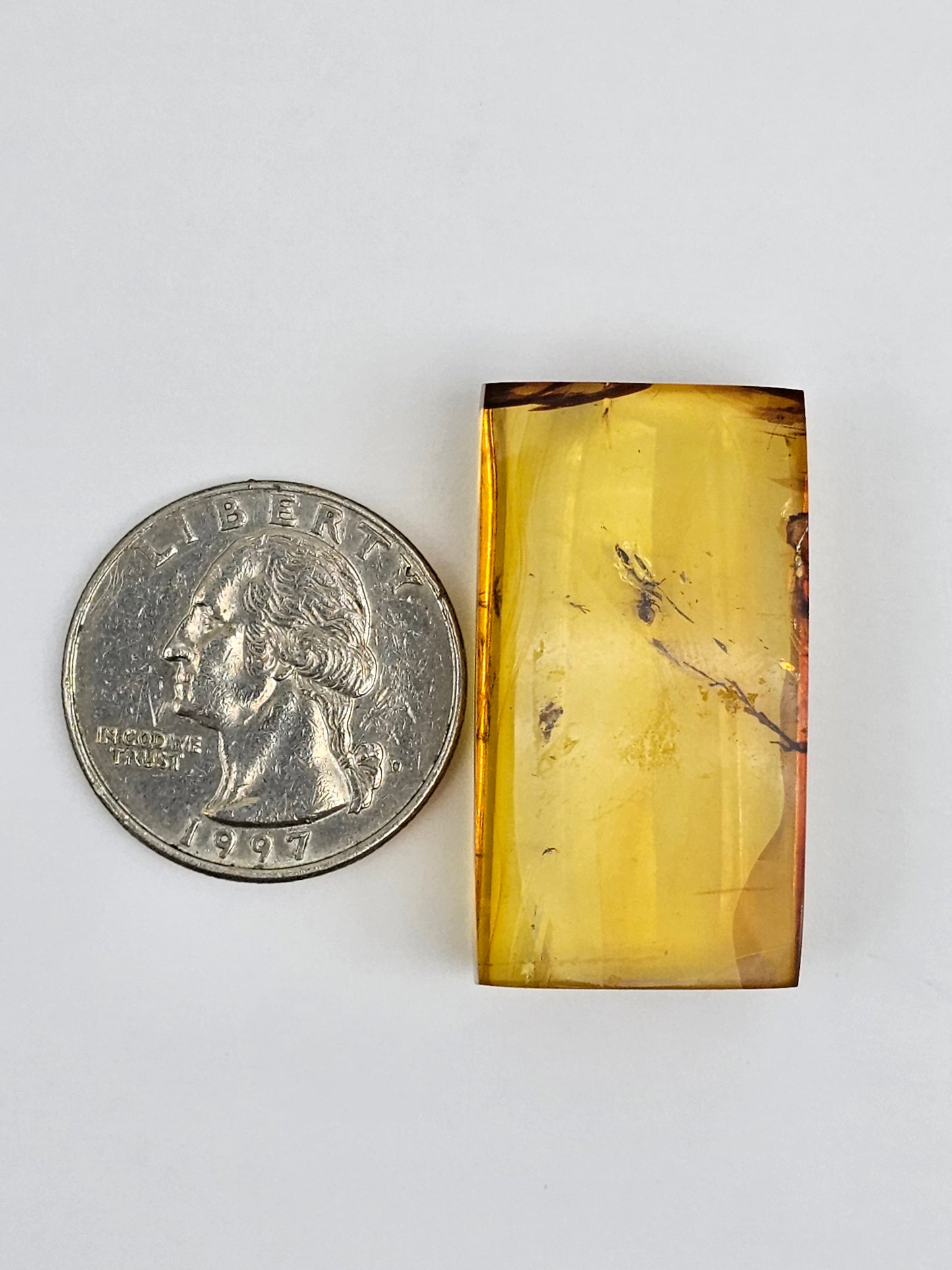 Amber Authentic Cabochon with Bug Inclusion