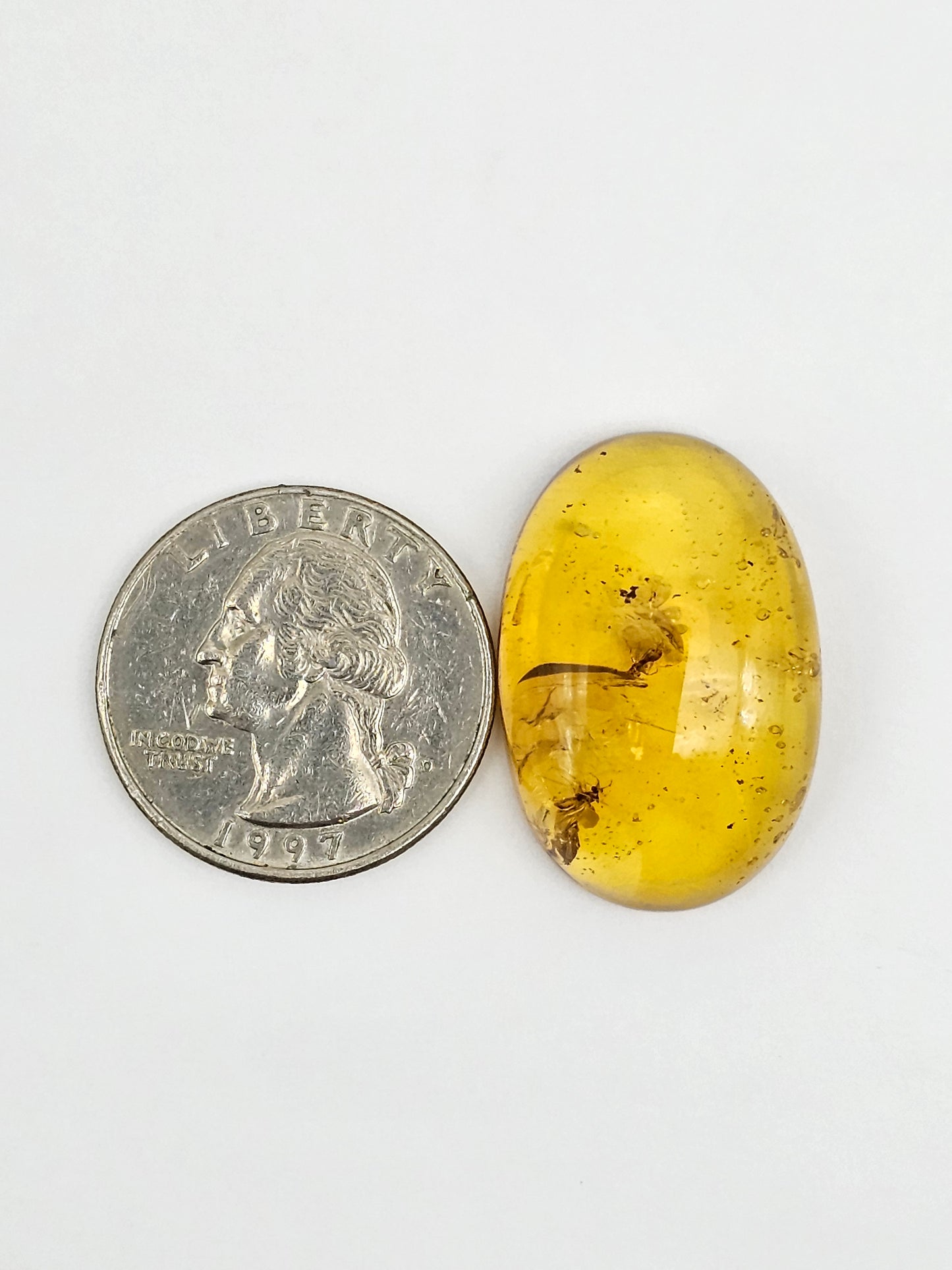 Amber Authentic Cabochon with Bug Inclusion