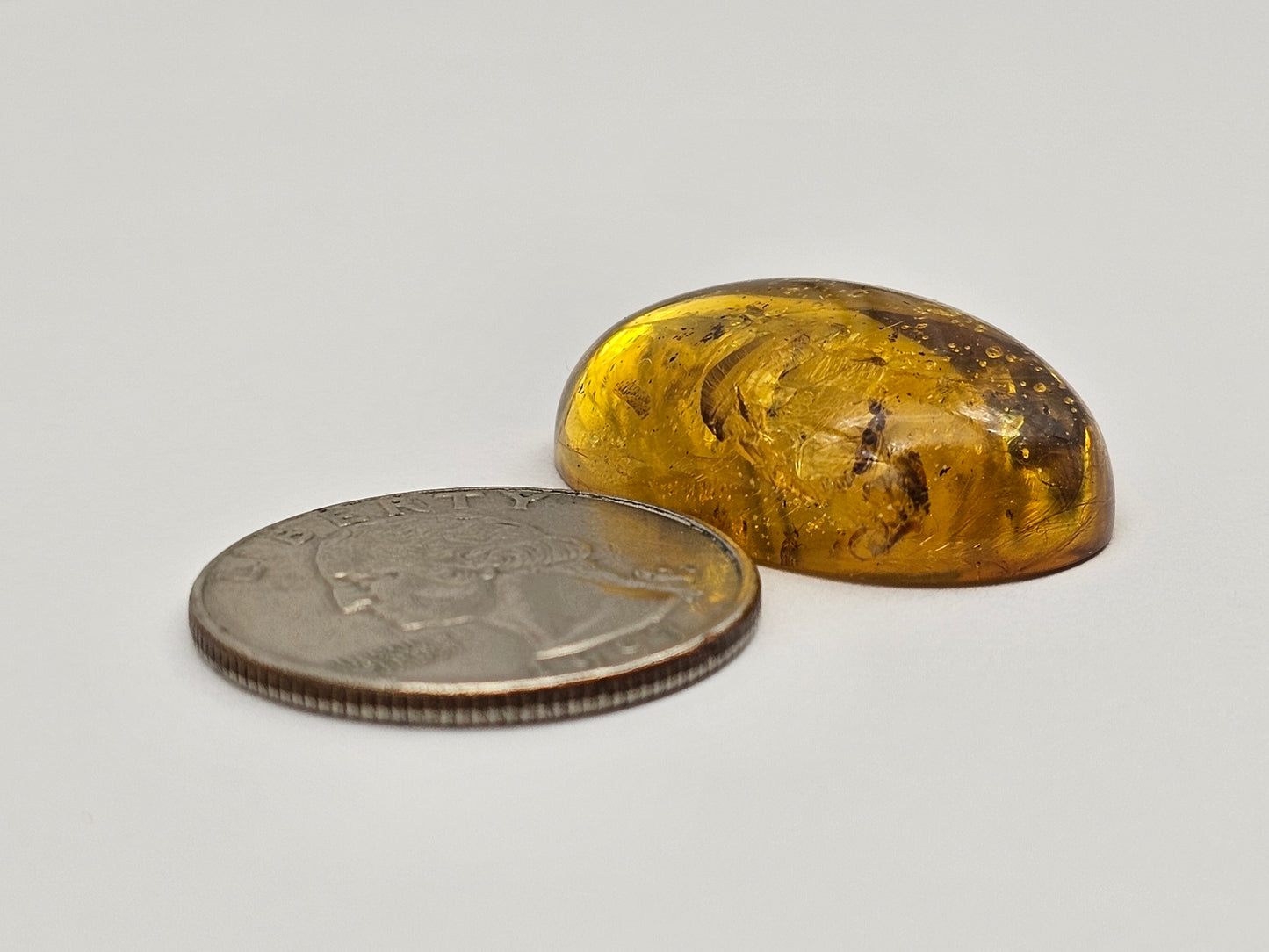 Amber Authentic Cabochon with Bug Inclusion