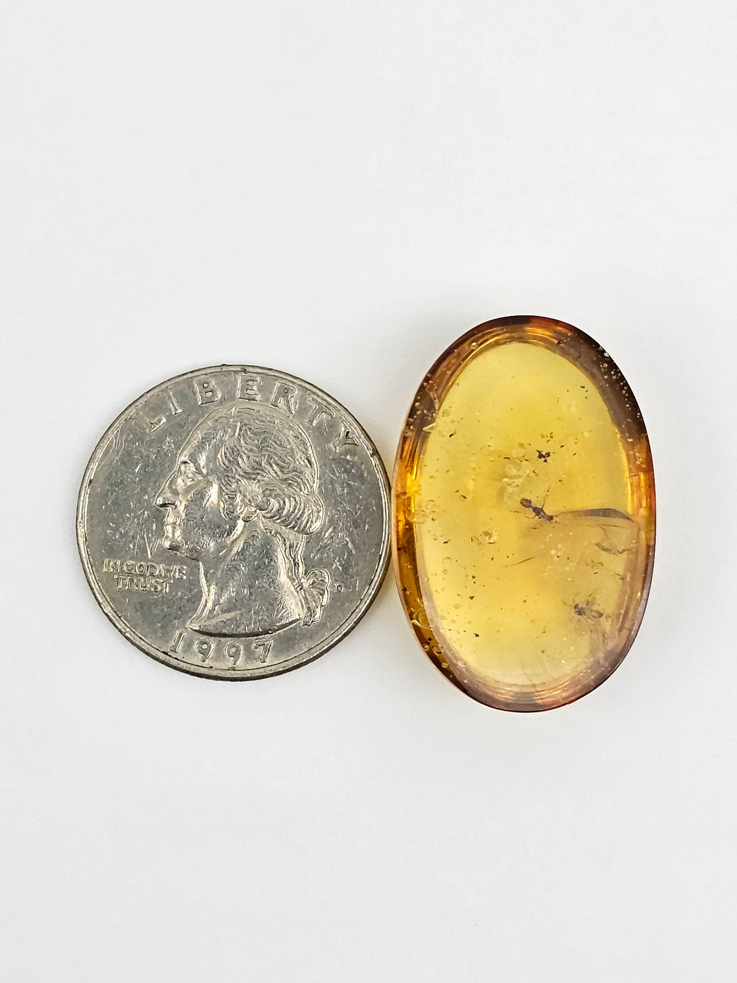 Amber Authentic Cabochon with Bug Inclusion