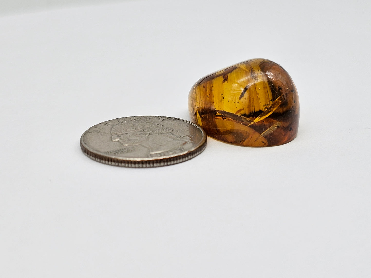 Amber Authentic Cabochon with Bug Inclusion