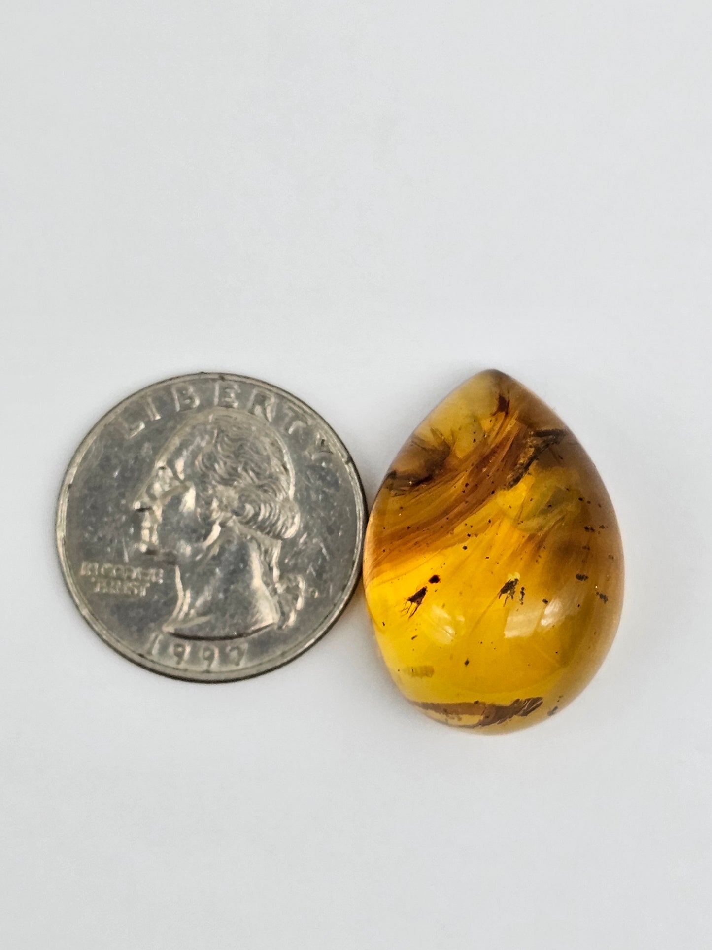 Amber Authentic Cabochon with Bug Inclusion