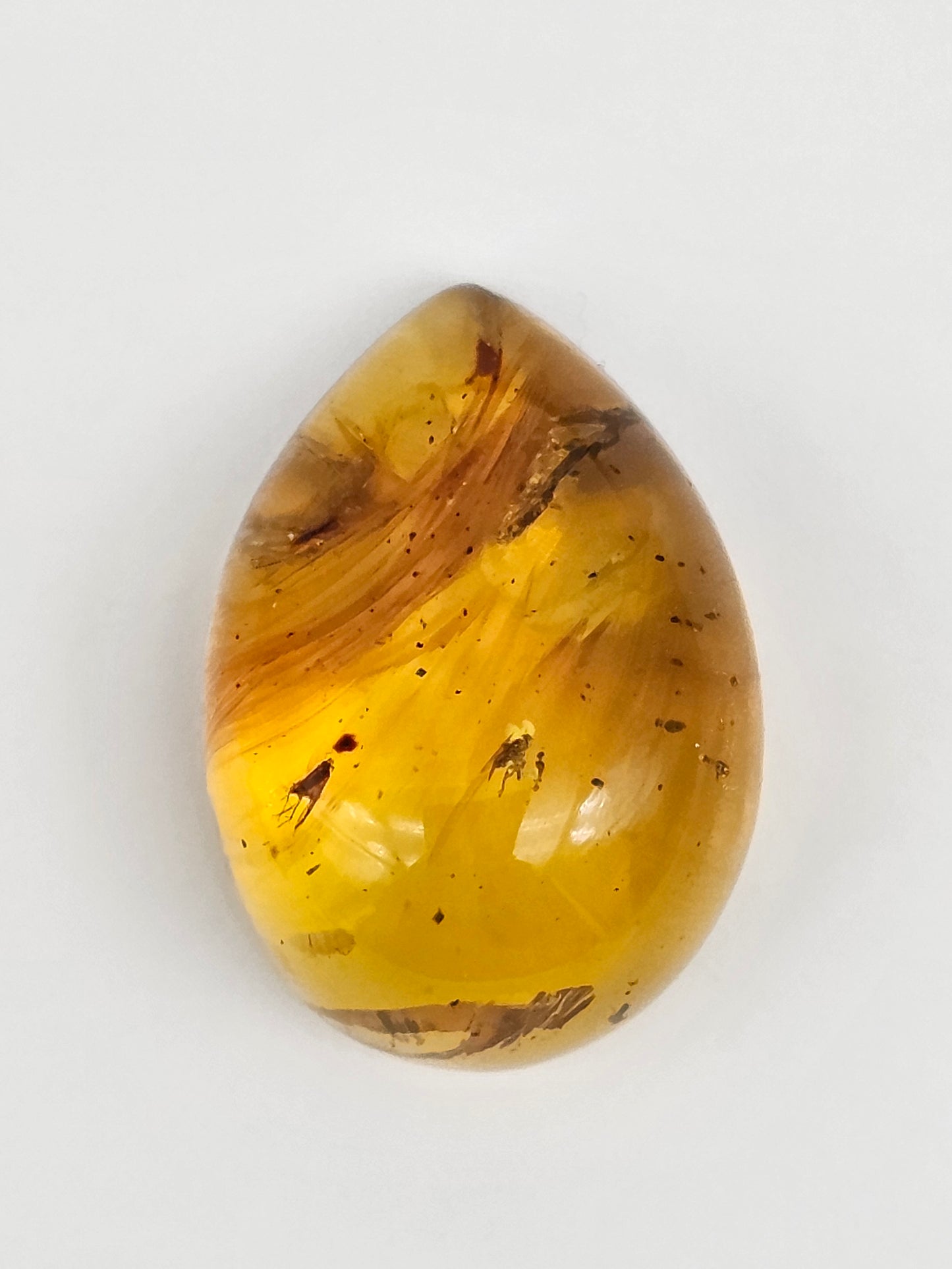 Amber Authentic Cabochon with Bug Inclusion