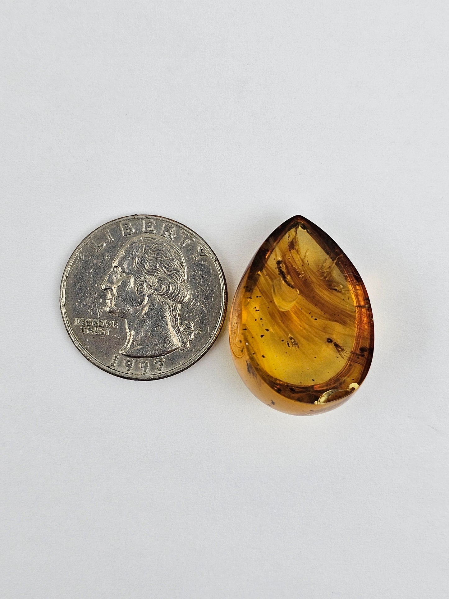 Amber Authentic Cabochon with Bug Inclusion
