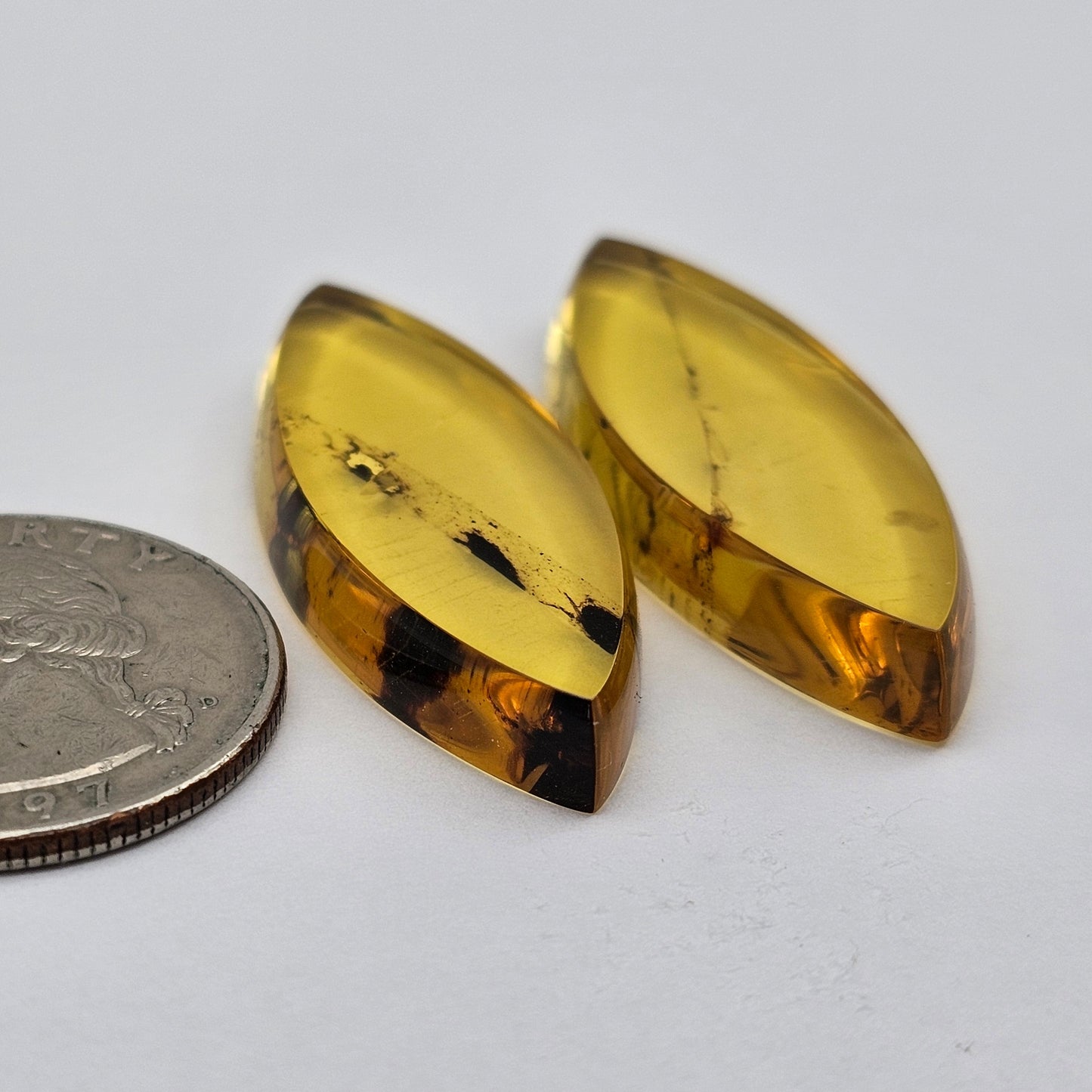 Amber authentic cabochon pair large