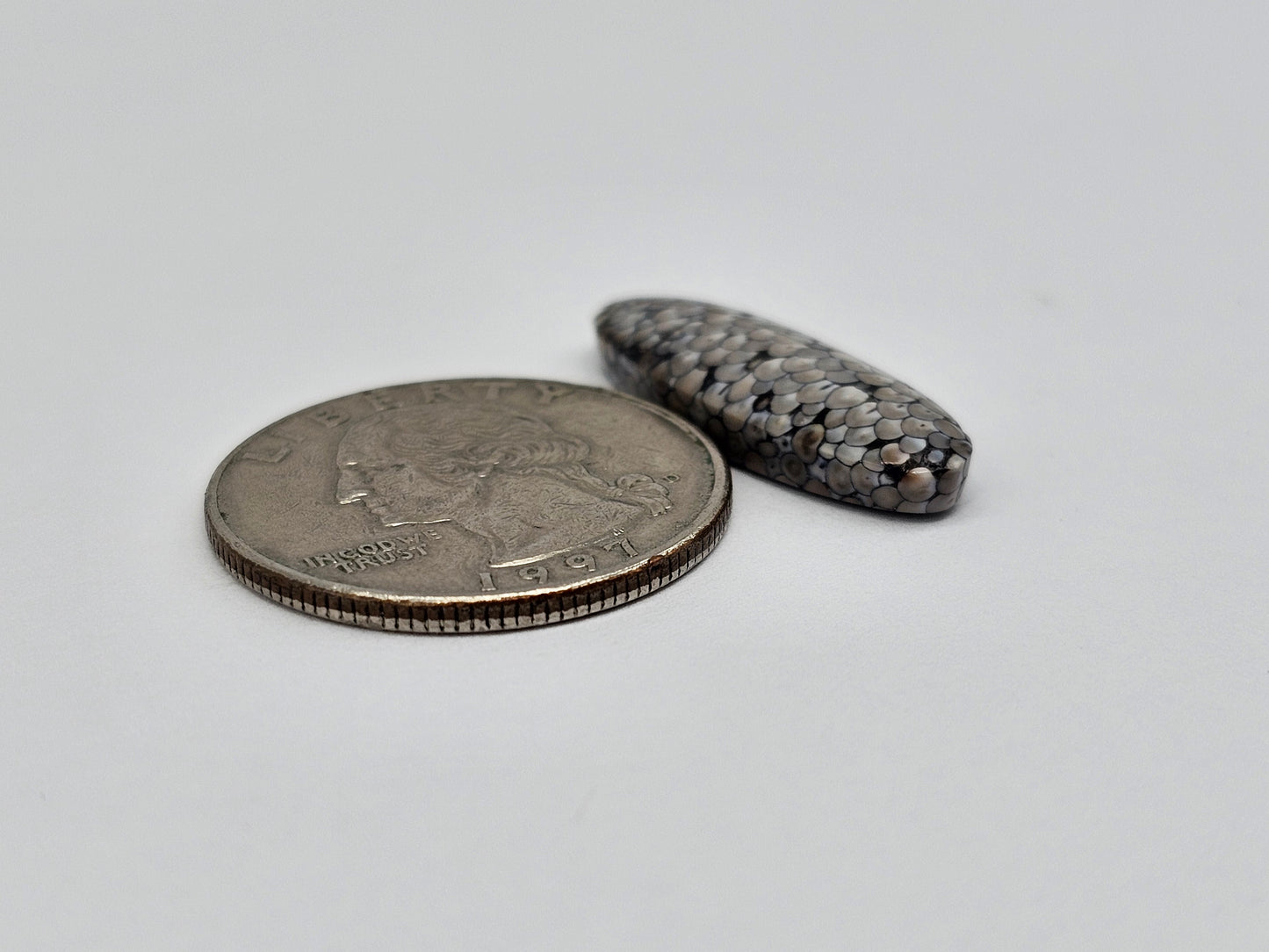 Snake skin agate cabochon