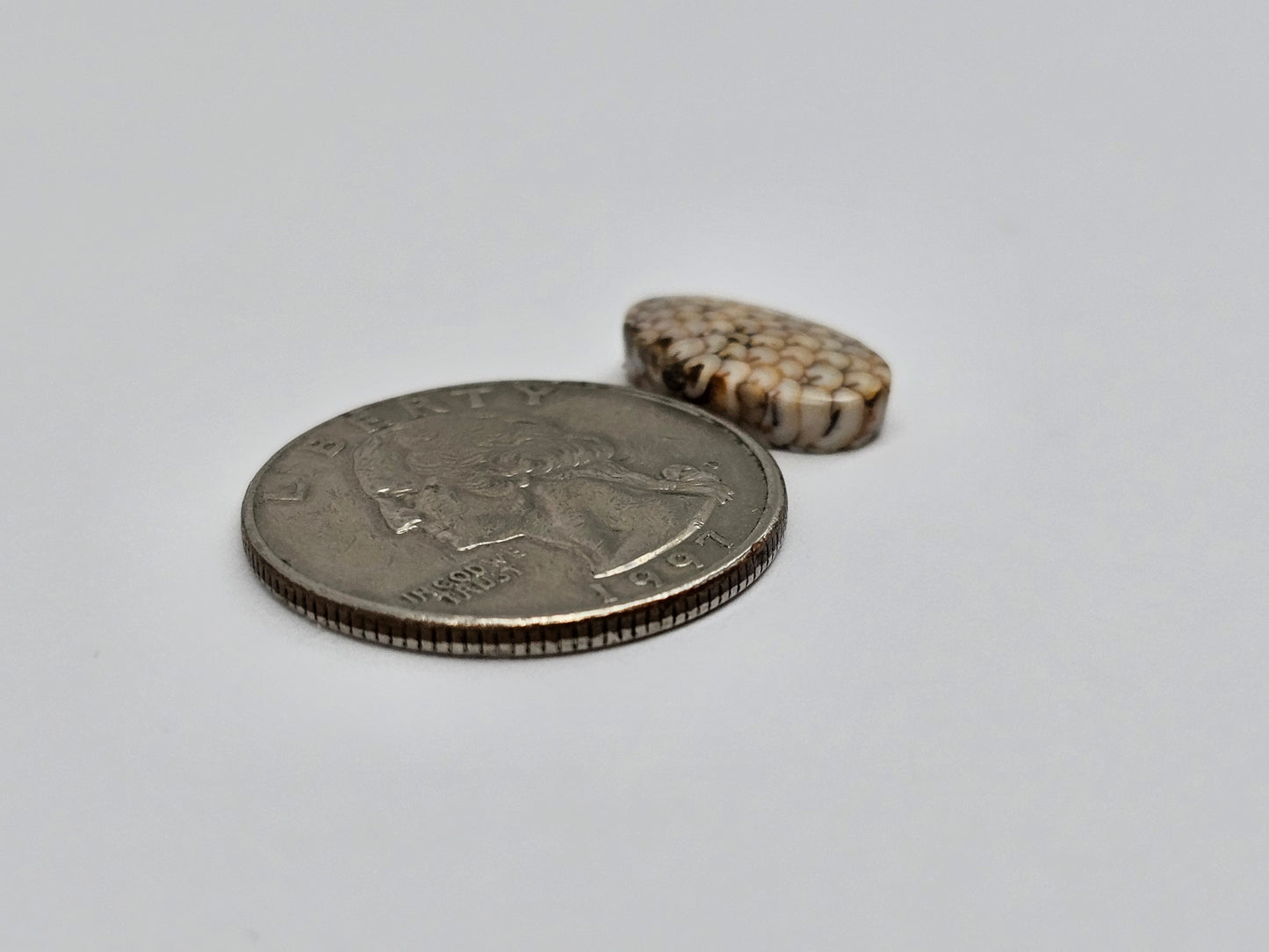 Snake skin agate cabochon