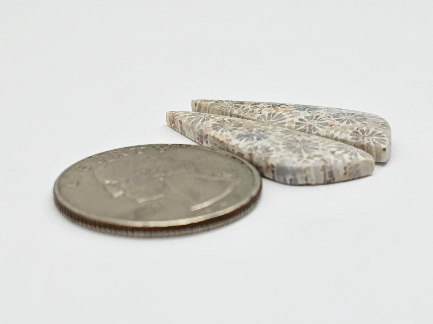 Fossilized Coral Agate Pair