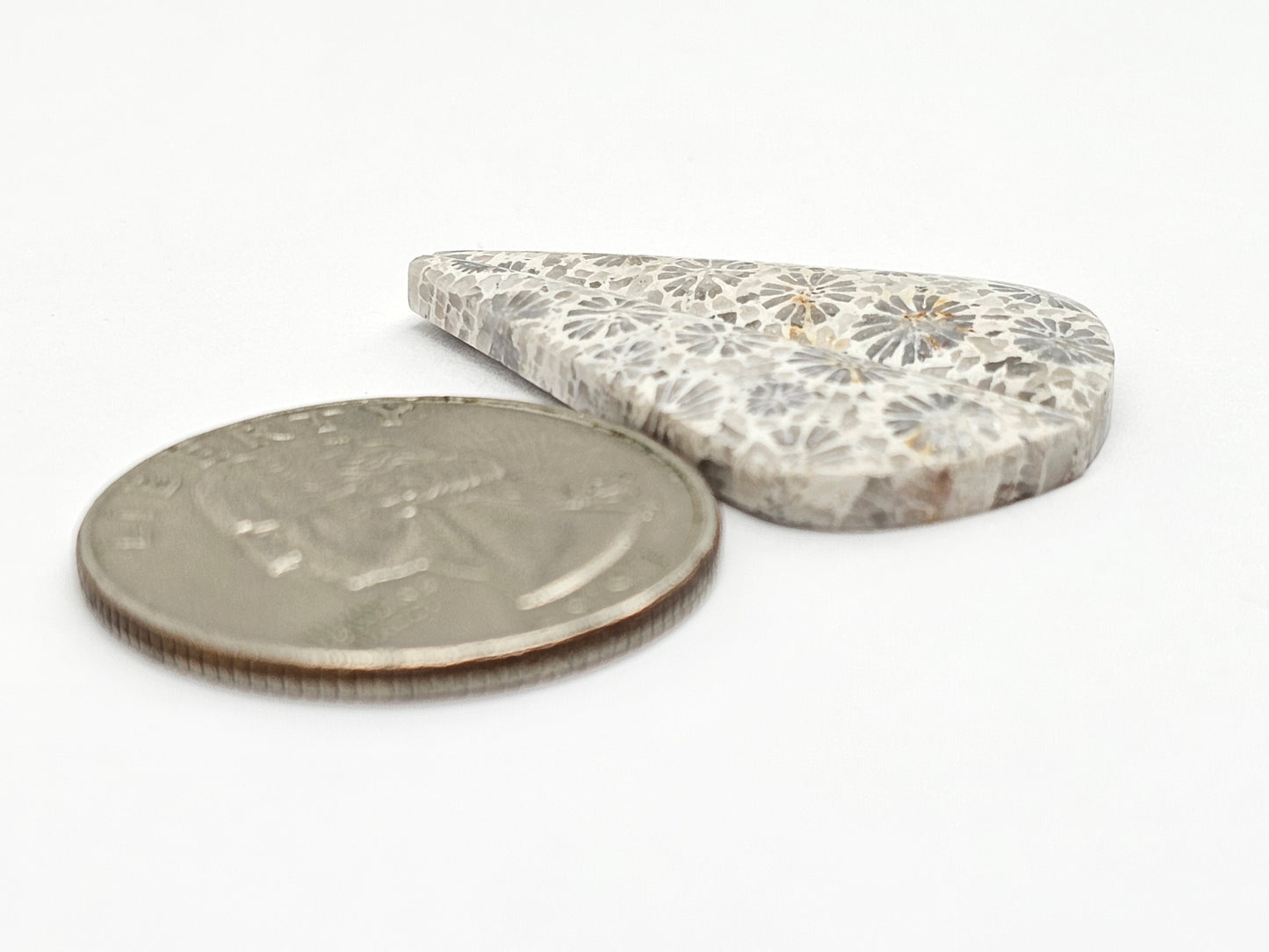 Fossilized Coral Agate Pair