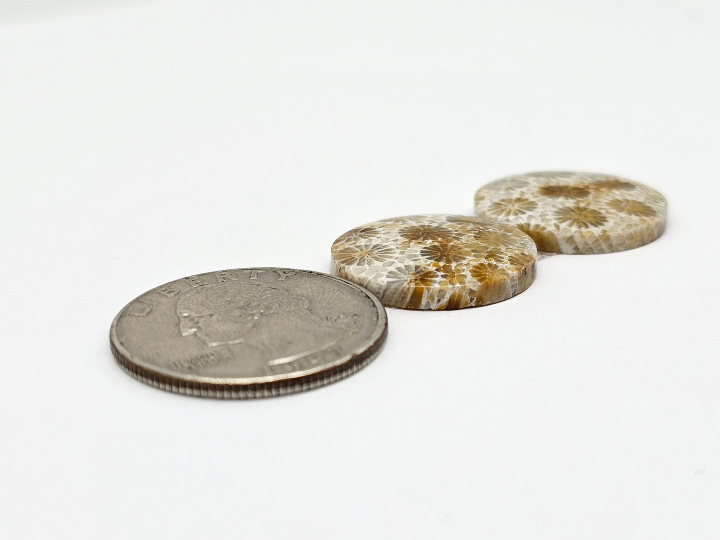 Fossilized Coral Agate Pair