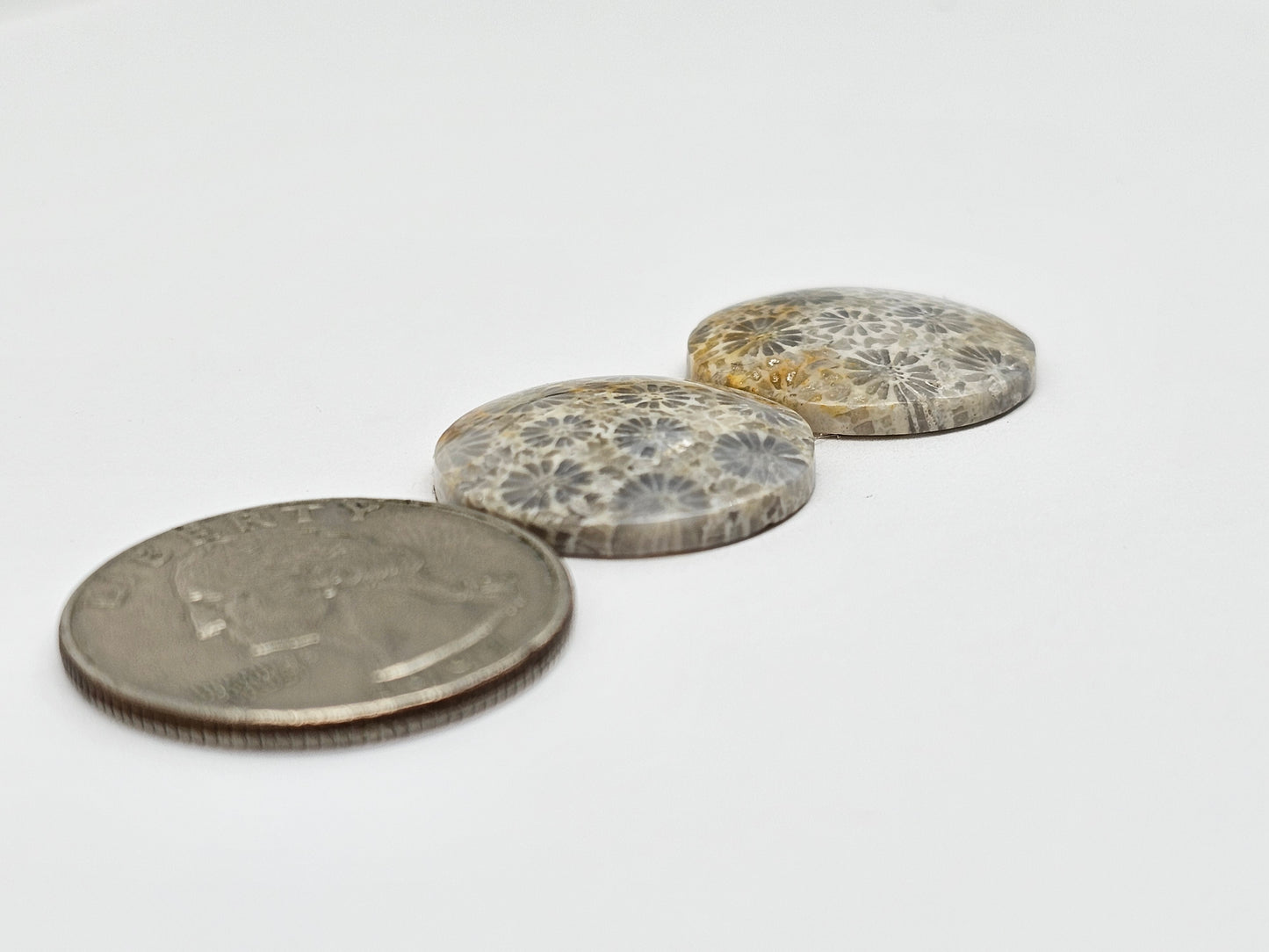 Fossilized Coral Agate Pair