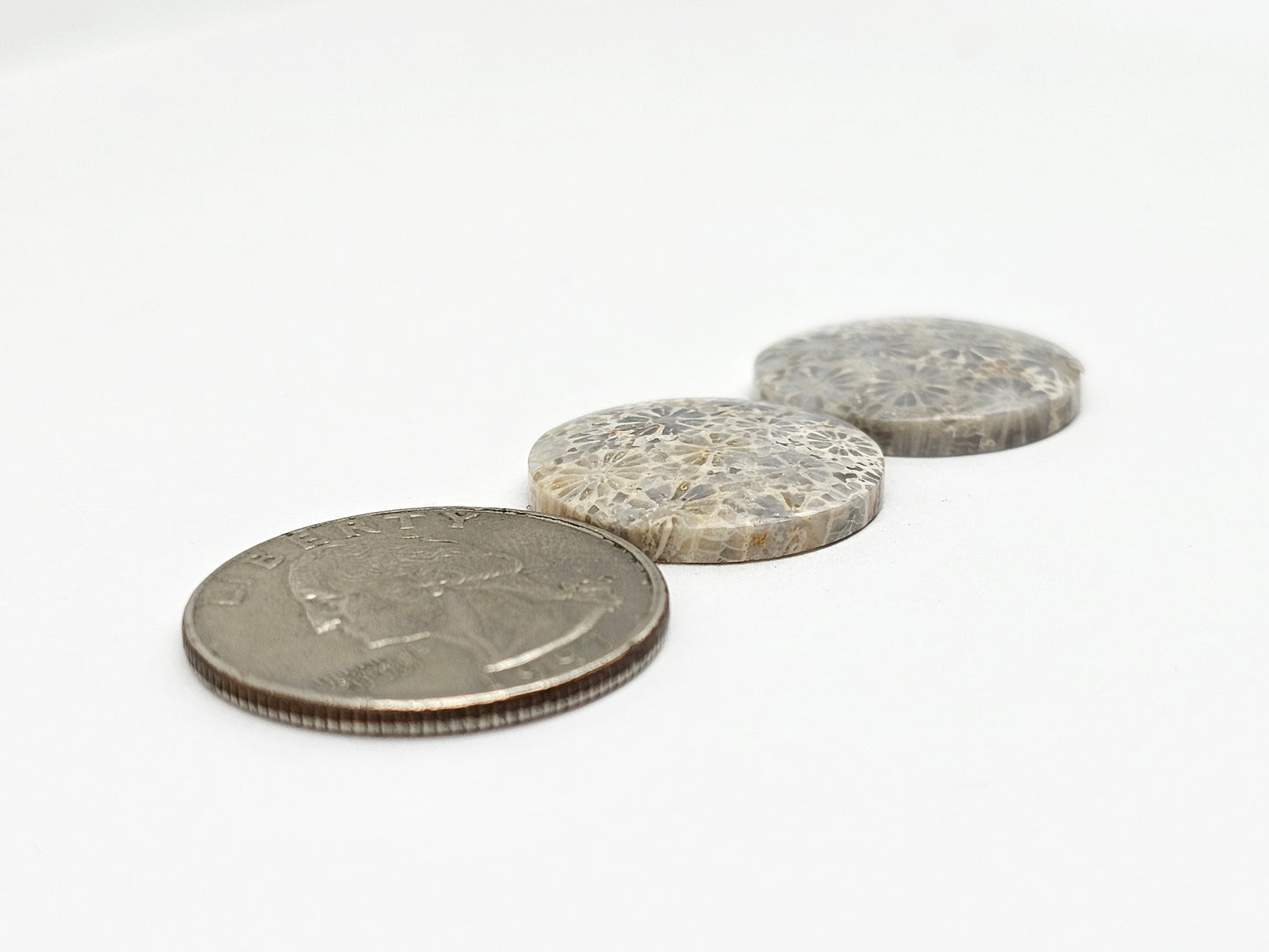 Fossilized Coral Agate Pair