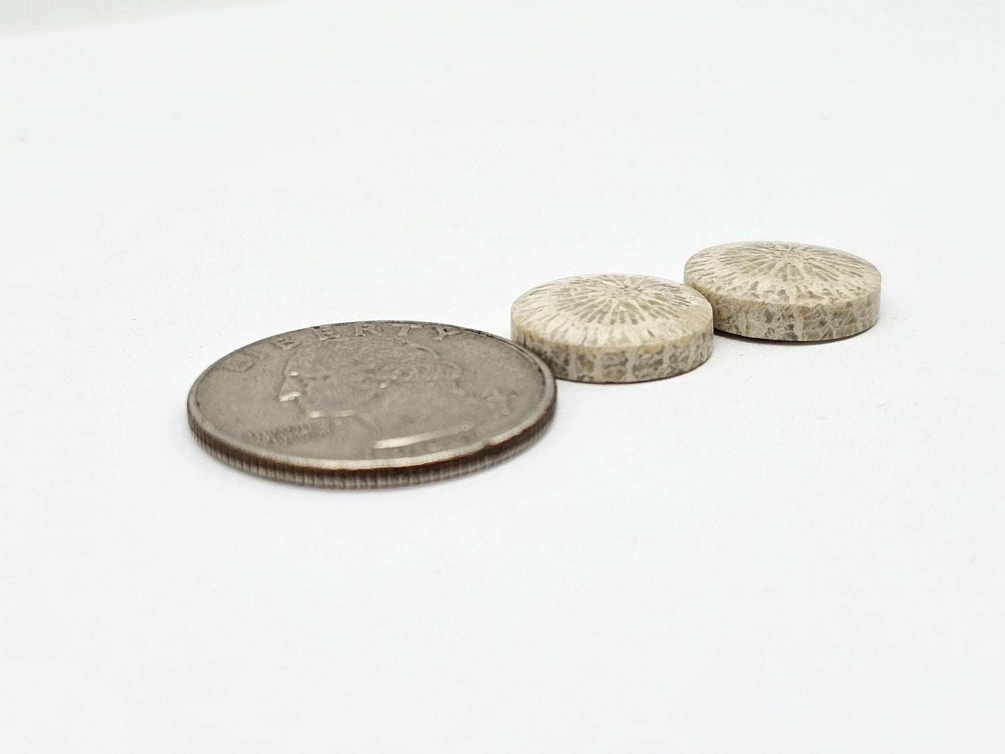 Fossilized Coral Agate Pair